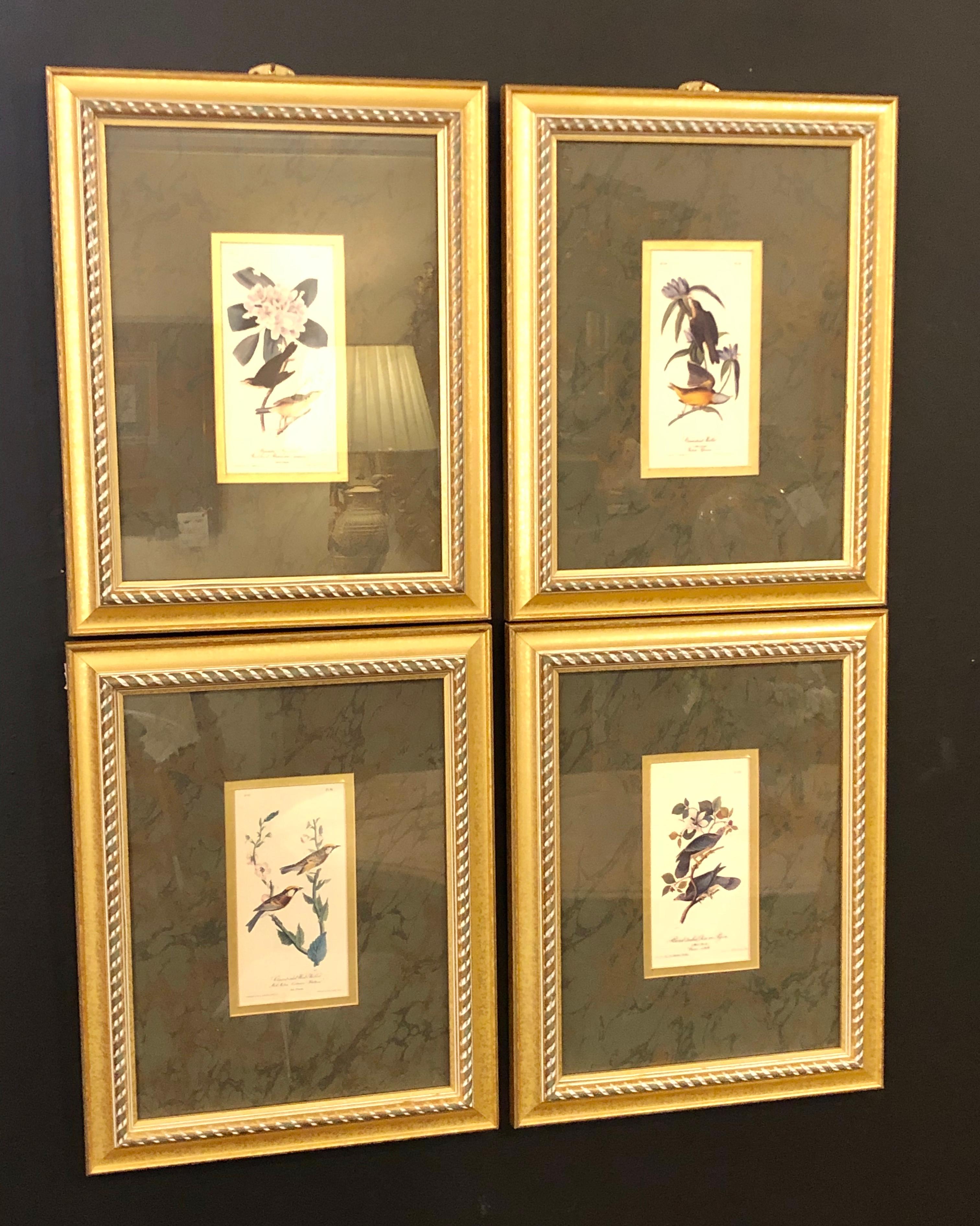 Set of four finely framed copper engravings of birds. This wonderfully deocrative works on paper are all signed John James Audubon and numbered. Each on a custom black matting in a giltwood frame.