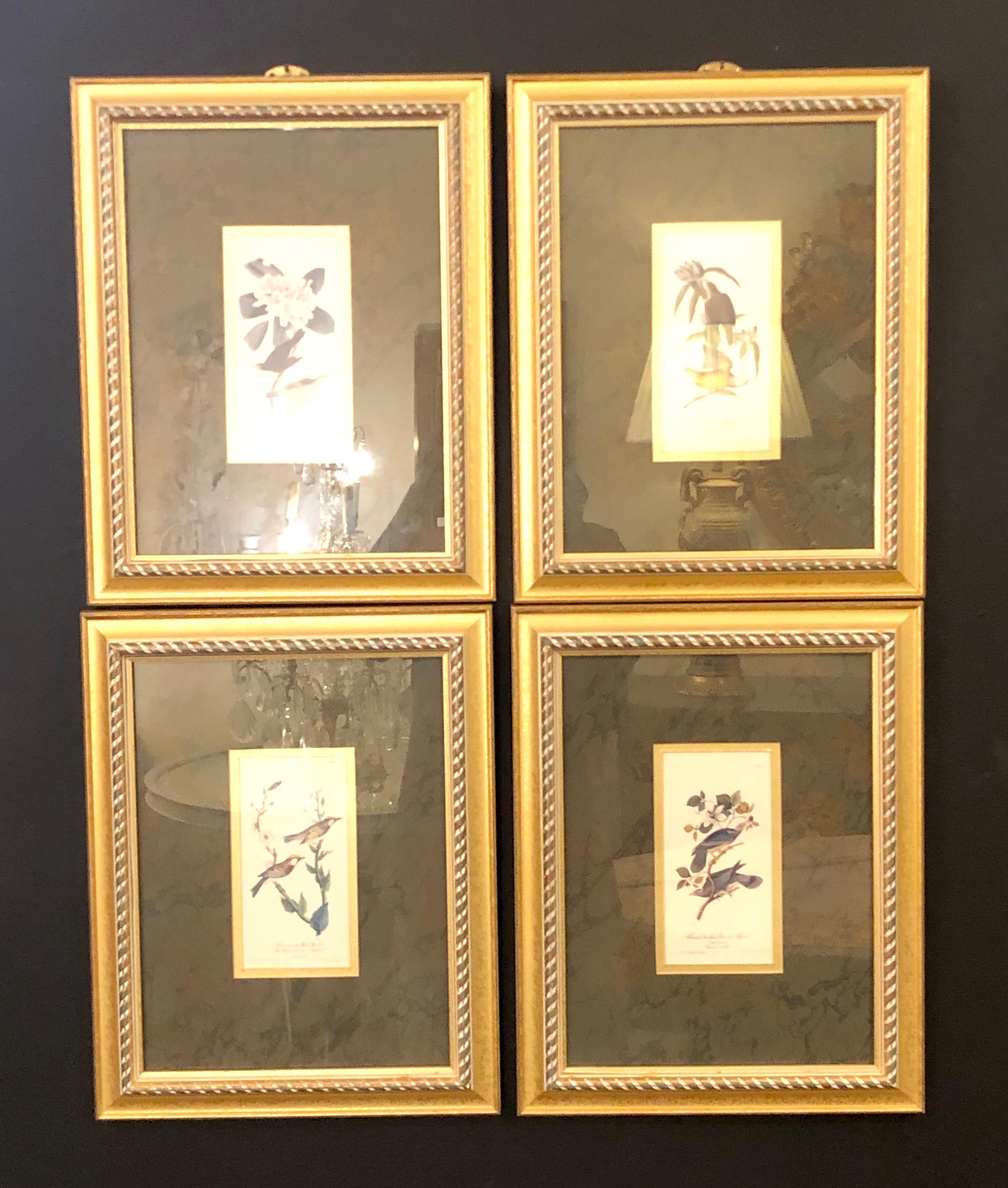 Belle Époque Set of Four Finely Framed Copper Engravings of Birds John James Audubon For Sale
