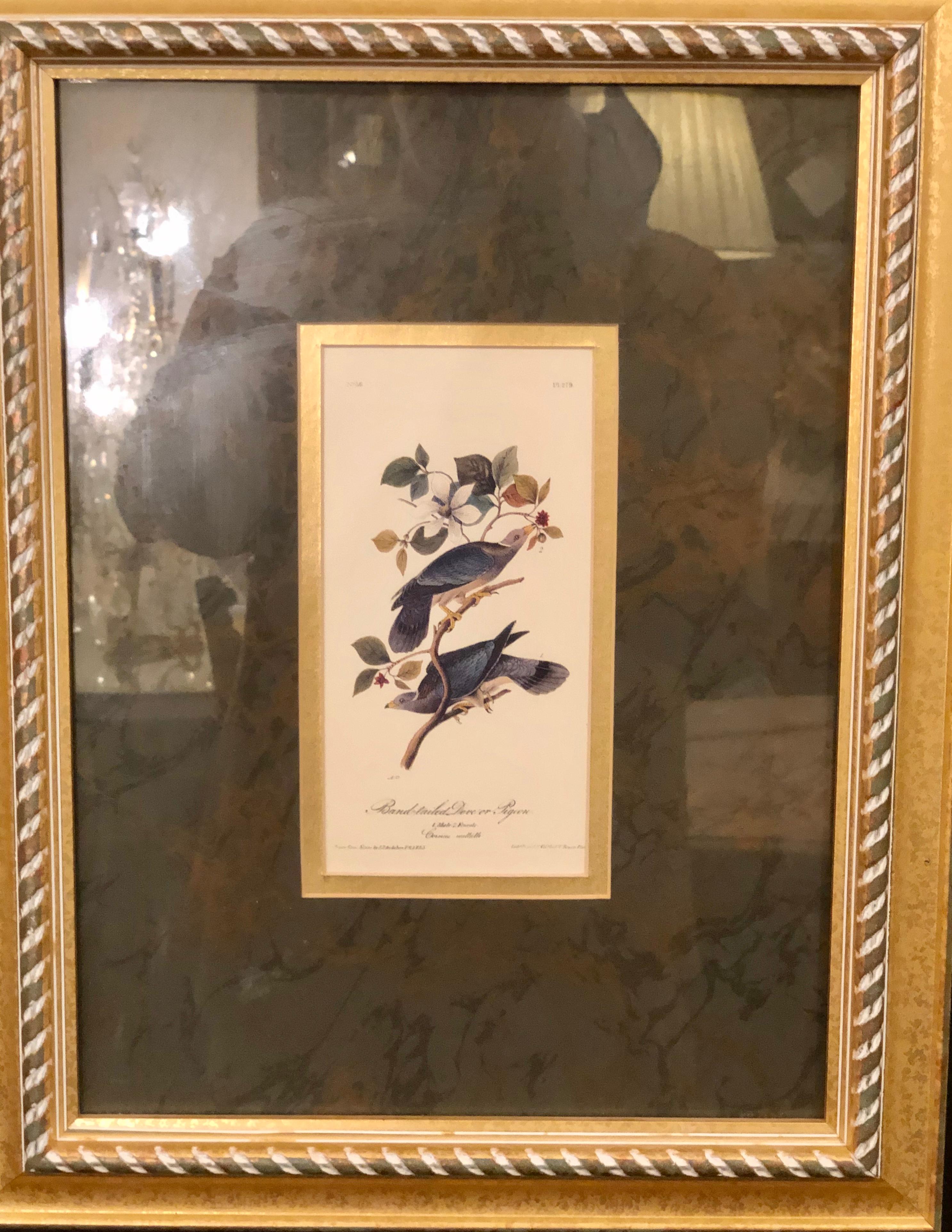 Giltwood Set of Four Finely Framed Copper Engravings of Birds John James Audubon For Sale