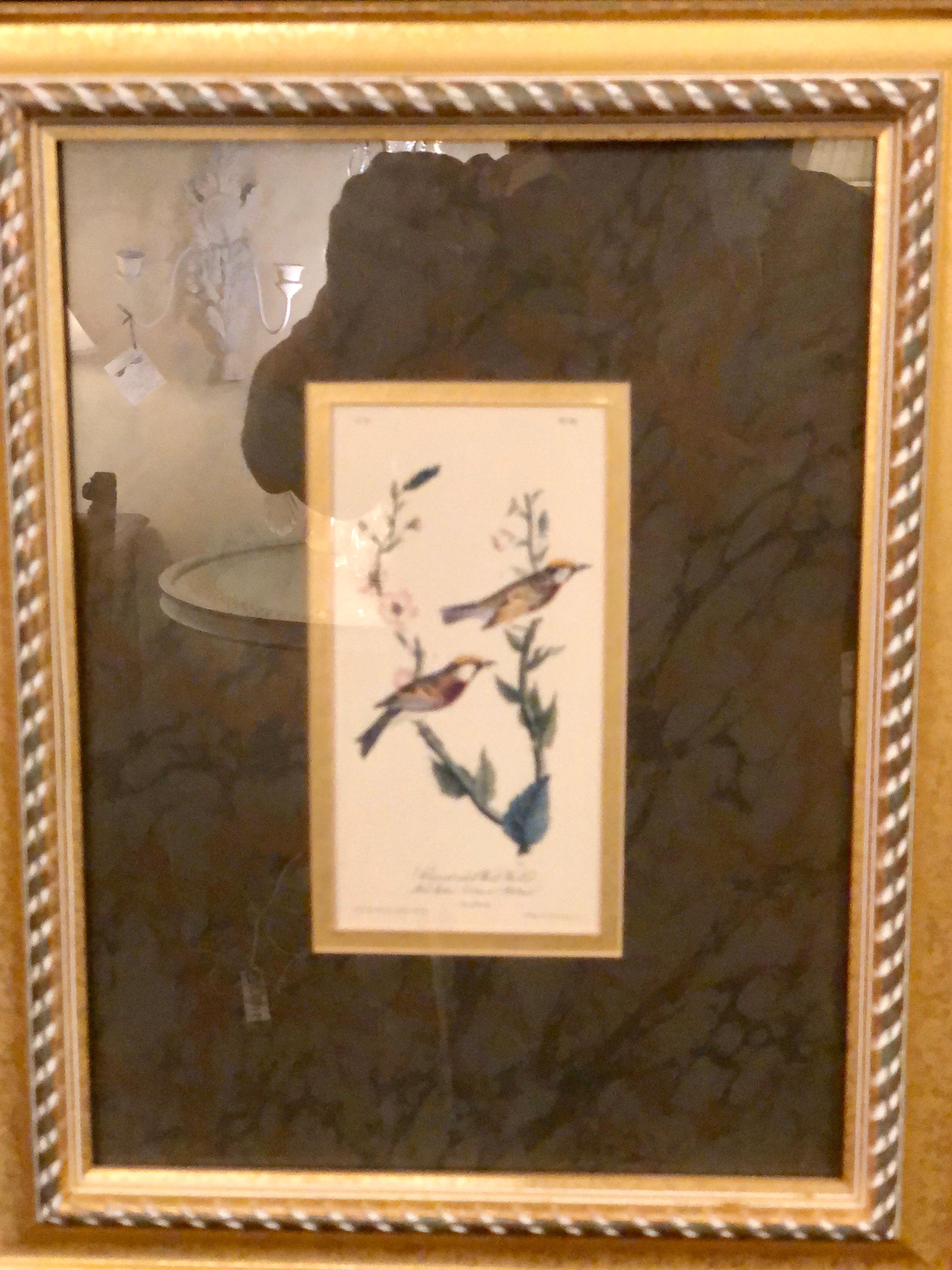 Set of Four Finely Framed Copper Engravings of Birds John James Audubon For Sale 1