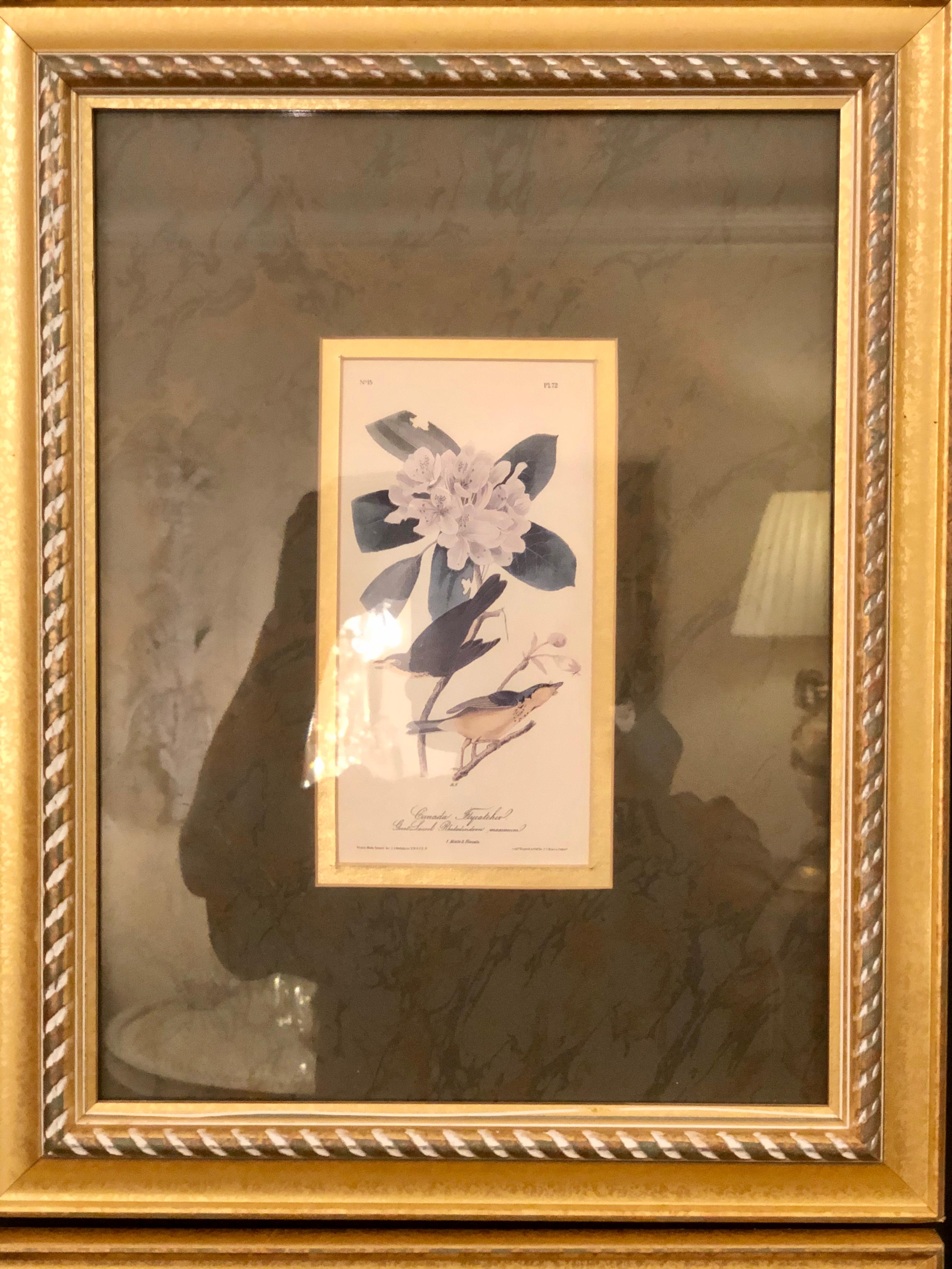 Set of Four Finely Framed Copper Engravings of Birds John James Audubon For Sale 3