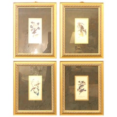Set of Four Finely Framed Copper Engravings of Birds John James Audubon