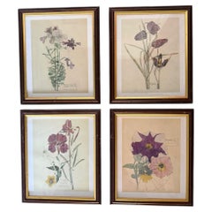 Set of four framed botanical color prints