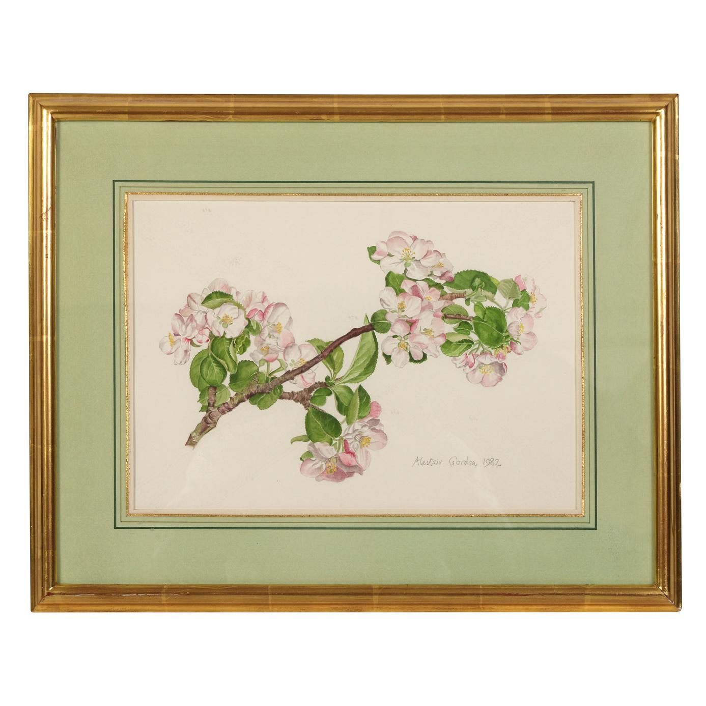 20th Century Set of Four Framed Botanical Watercolors by Alastair Gordon For Sale