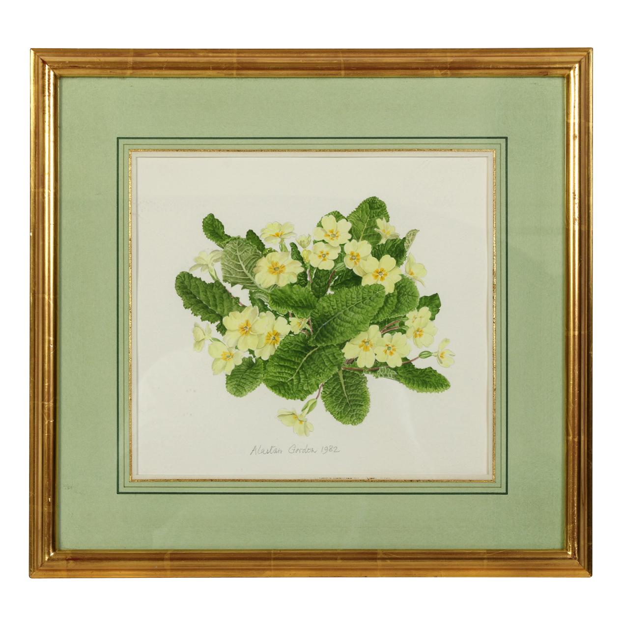 Paint Set of Four Framed Botanical Watercolors by Alastair Gordon For Sale