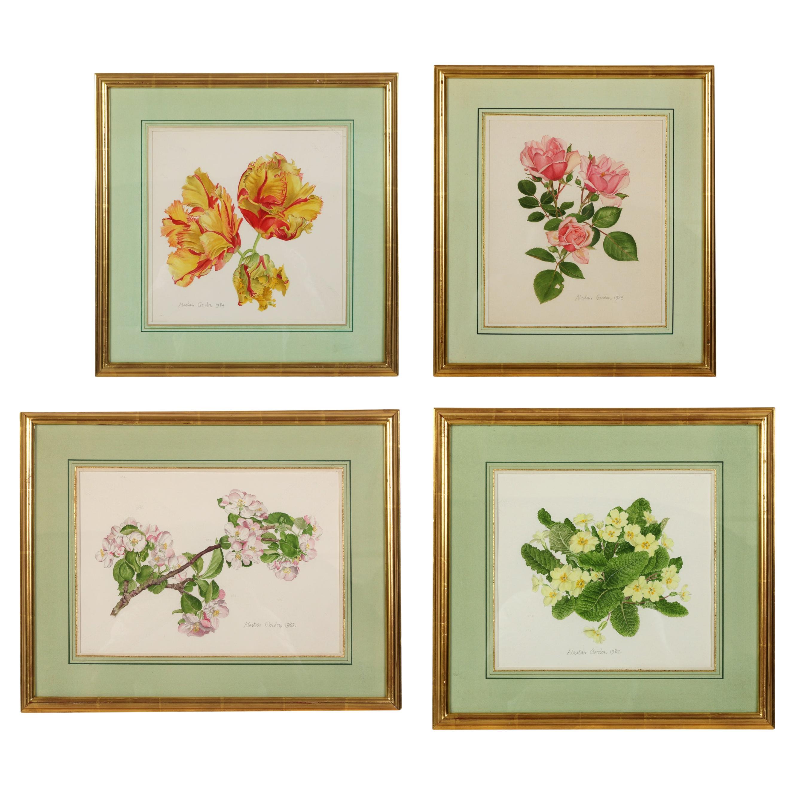 Ensemble de quatre aquarelles botaniques encadrées d'Alastair Gordon