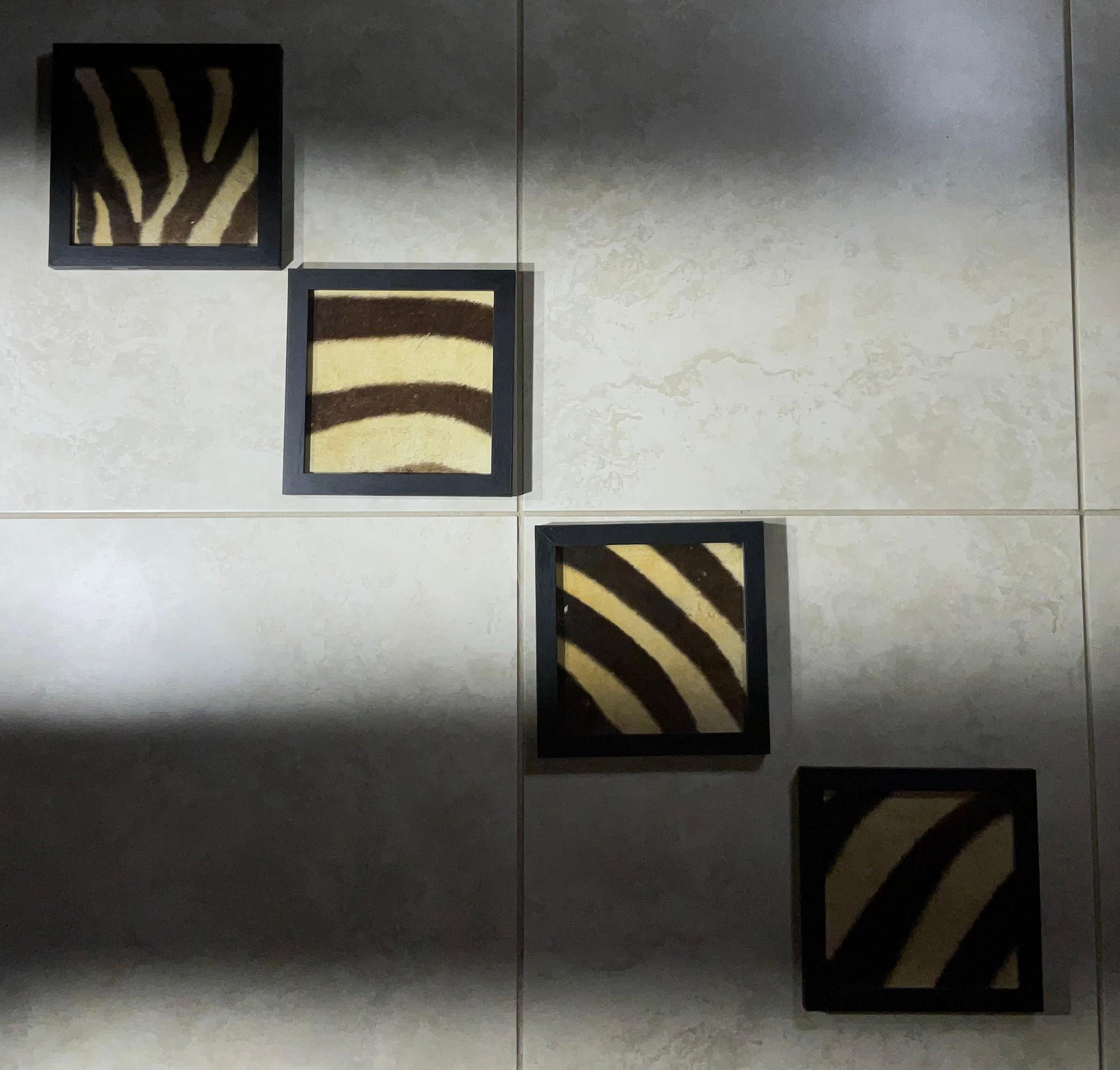 Set di quattro cornici in vera pelle di zebra antica in vendita 3