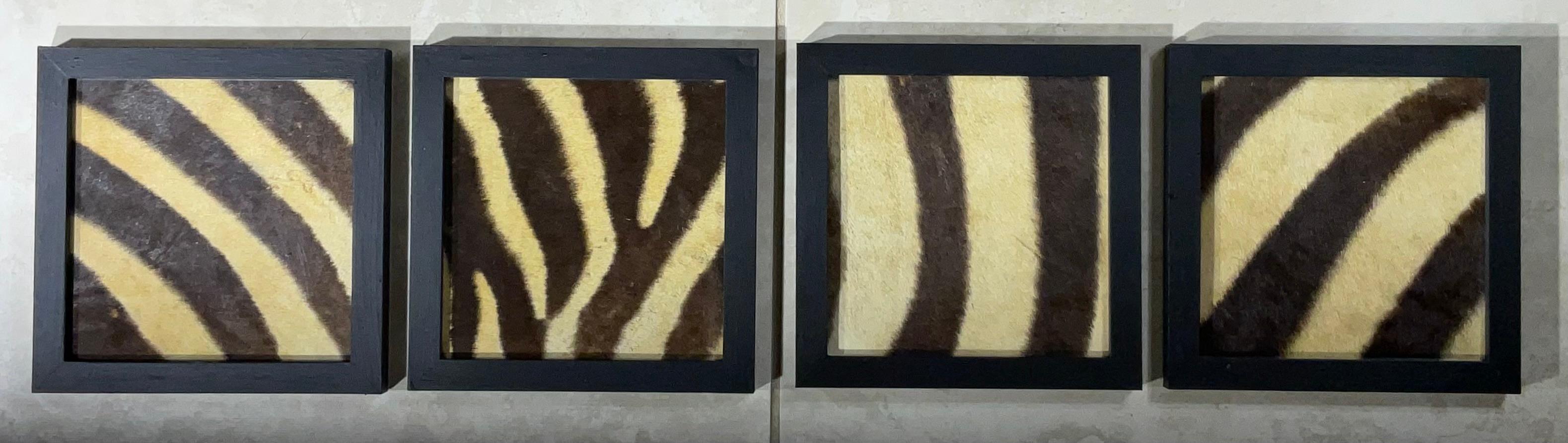 Set di quattro cornici in vera pelle di zebra antica in vendita 4