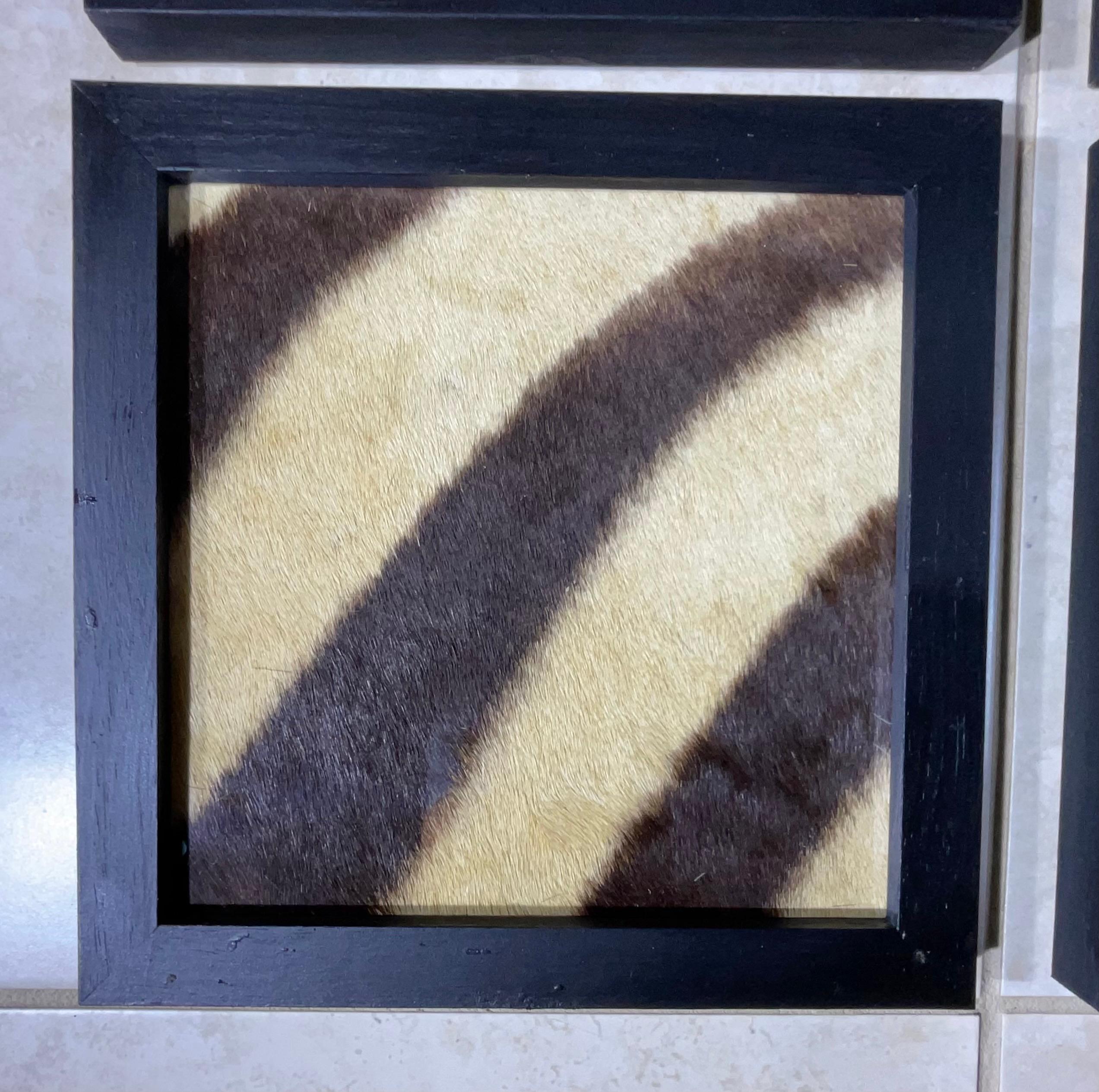 Set di quattro cornici in vera pelle di zebra antica in vendita 5