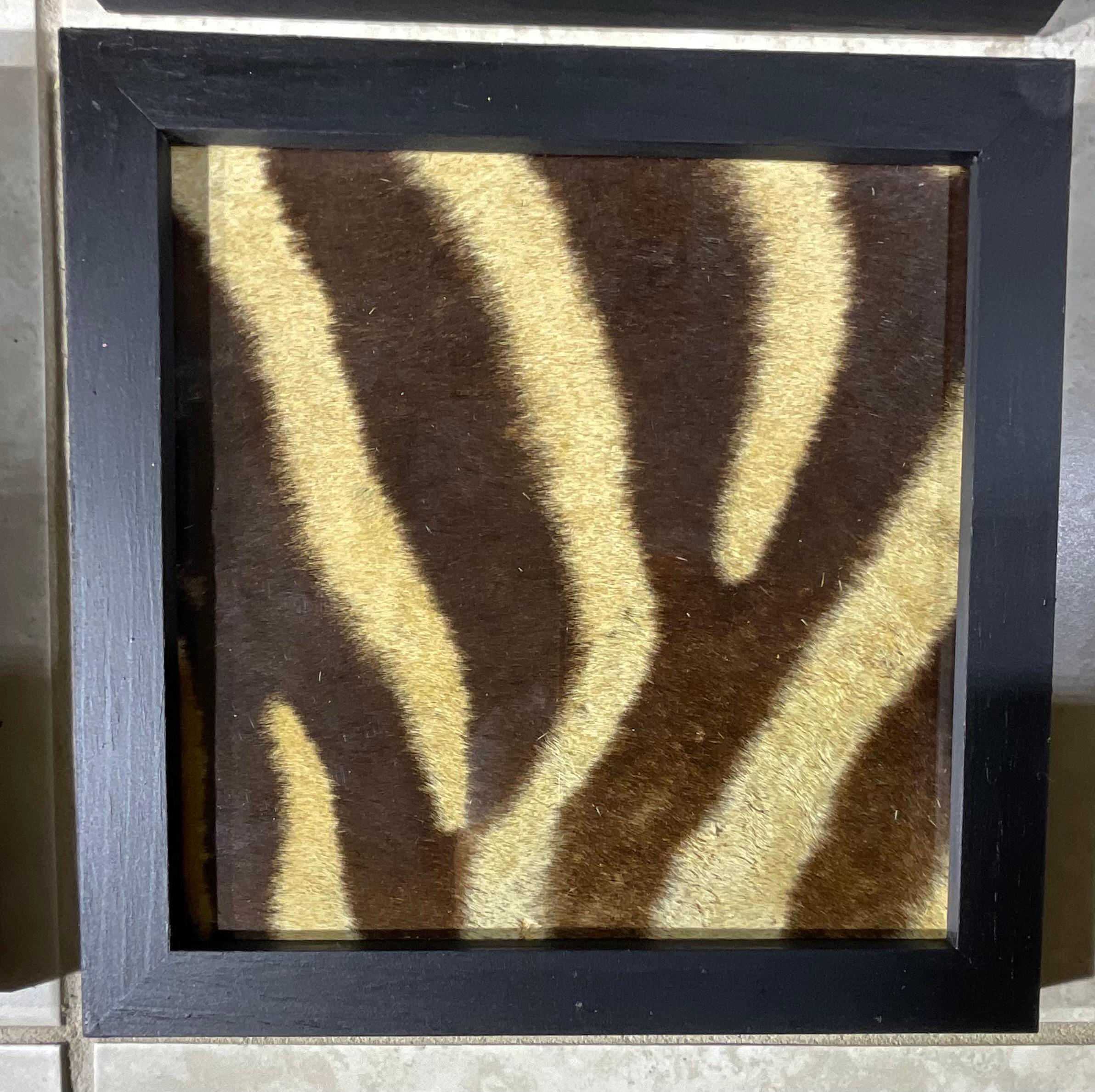 Set di quattro cornici in vera pelle di zebra antica in vendita 6