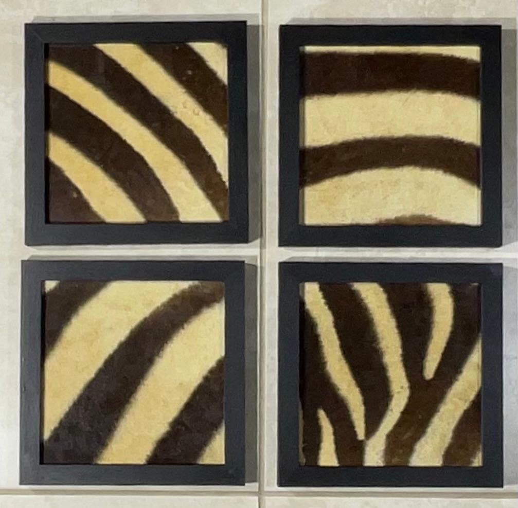 Eleva i tuoi interni con questo splendido set di quattro cornici antiche in pelle di zebra. Ogni pezzo mostra la bellezza unica e la consistenza della vera pelle di zebra, splendidamente incorniciata in una classica cornice in legno con finitura