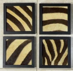 Set Of Four Framed Genuine Antique Zebra Skin