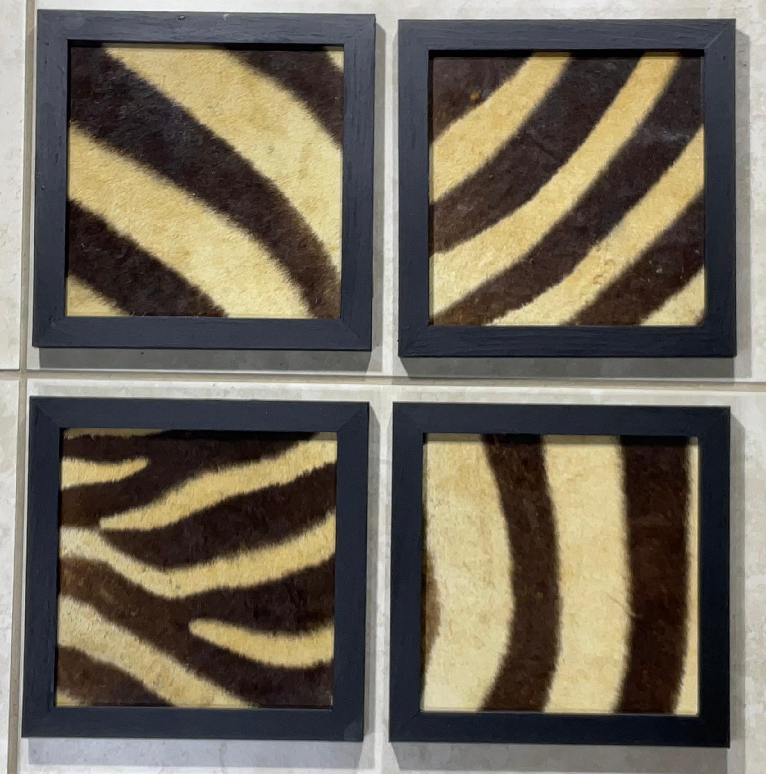 Africano Set di quattro cornici in vera pelle di zebra antica in vendita