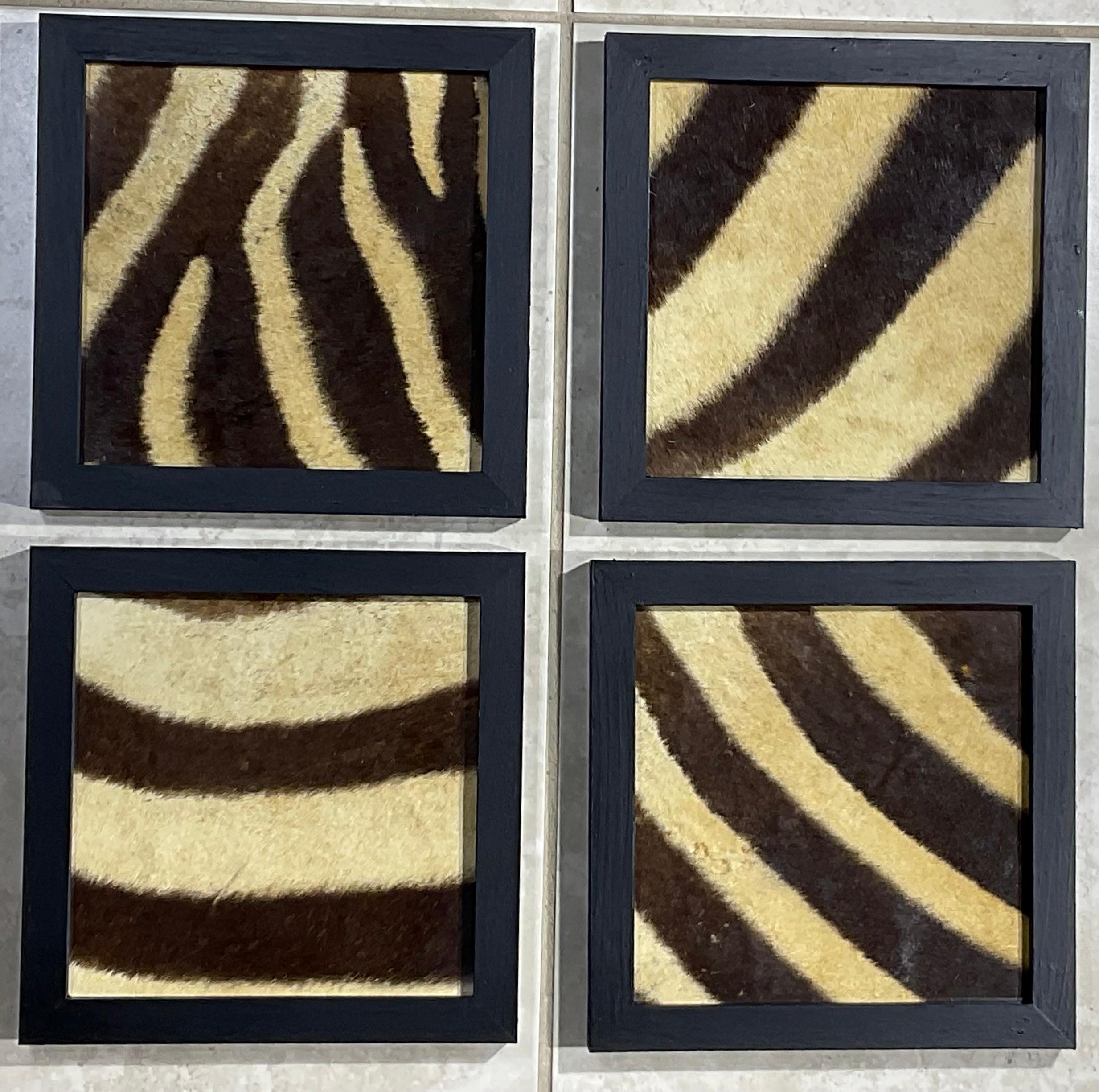 Fatto a mano Set di quattro cornici in vera pelle di zebra antica in vendita
