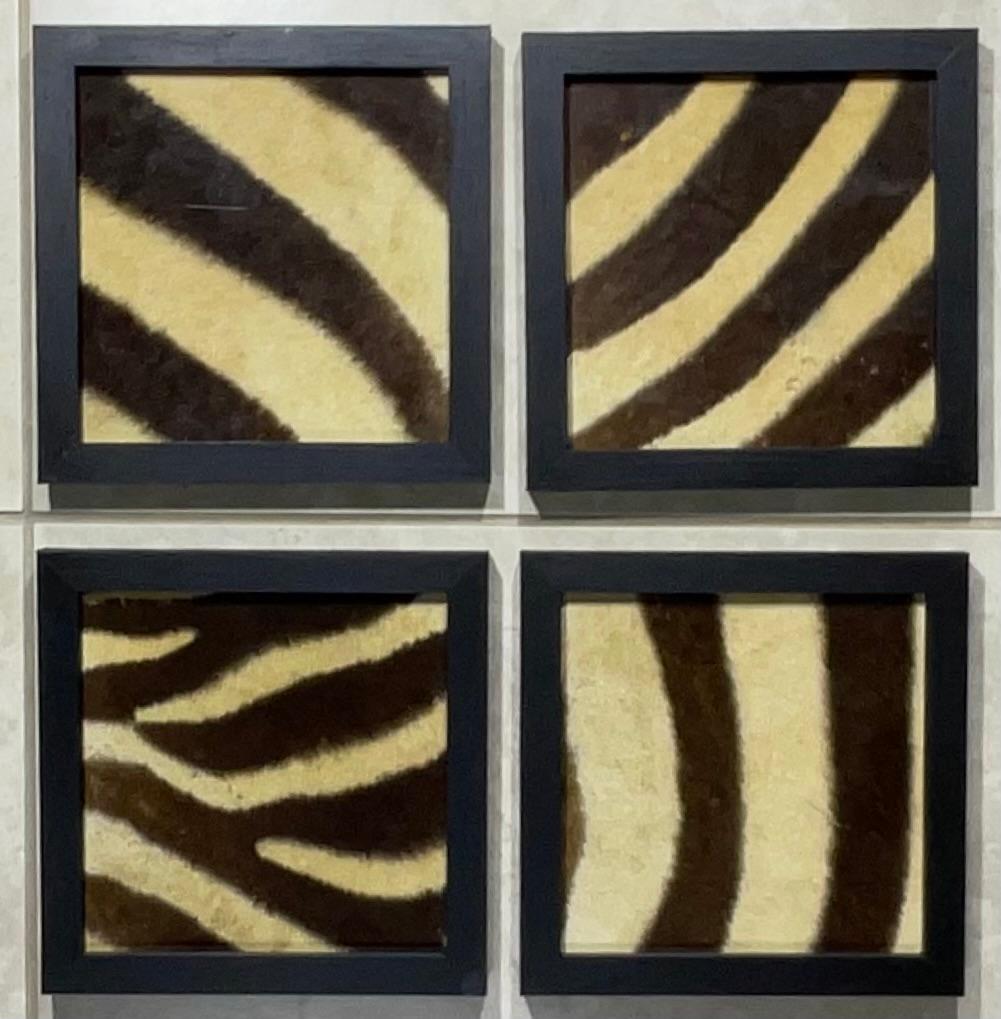XX secolo Set di quattro cornici in vera pelle di zebra antica in vendita