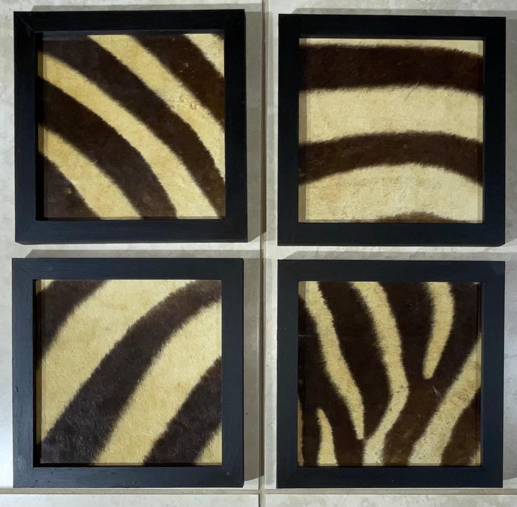 Pellame Set di quattro cornici in vera pelle di zebra antica in vendita