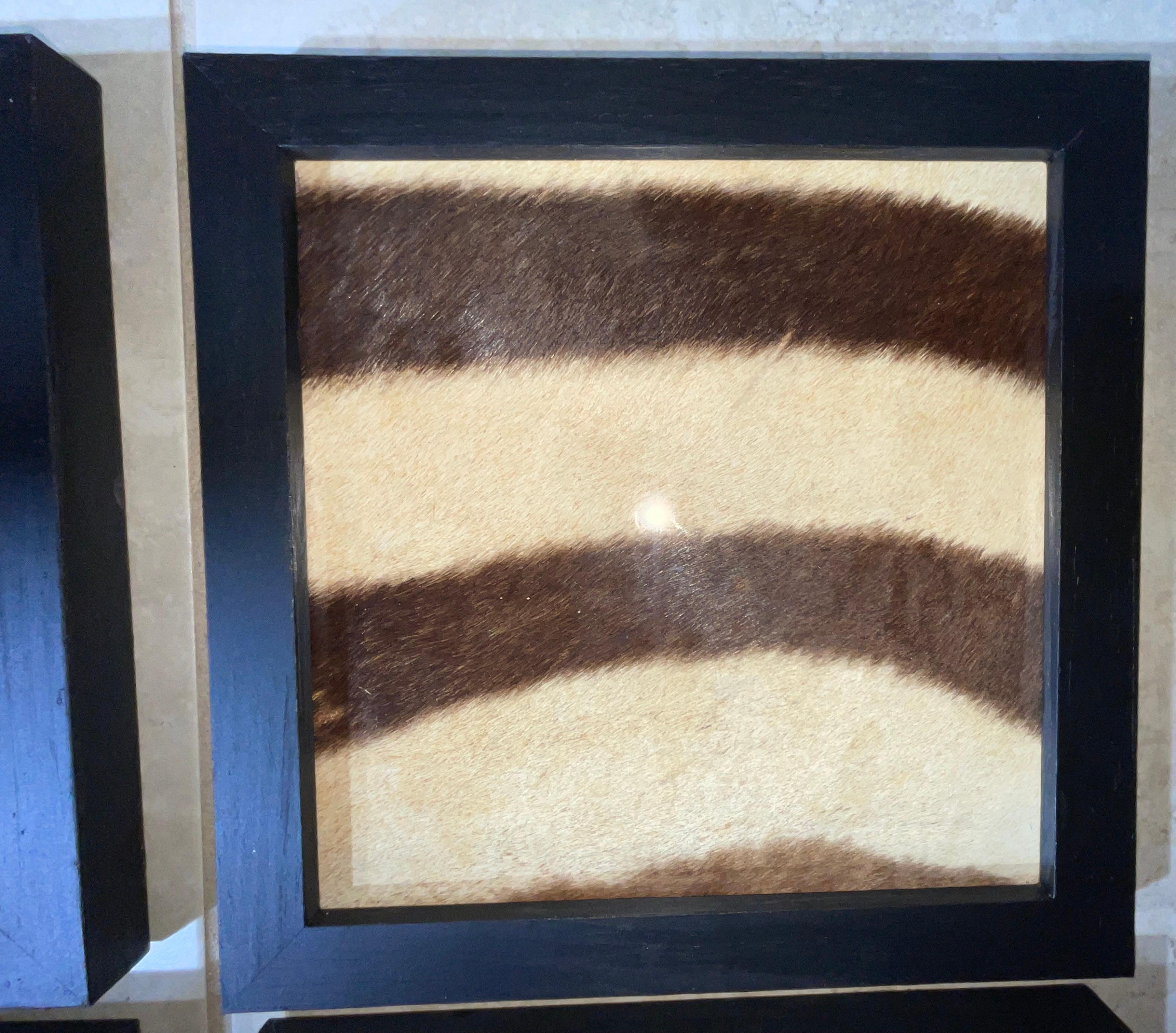 Set di quattro cornici in vera pelle di zebra antica in vendita 1