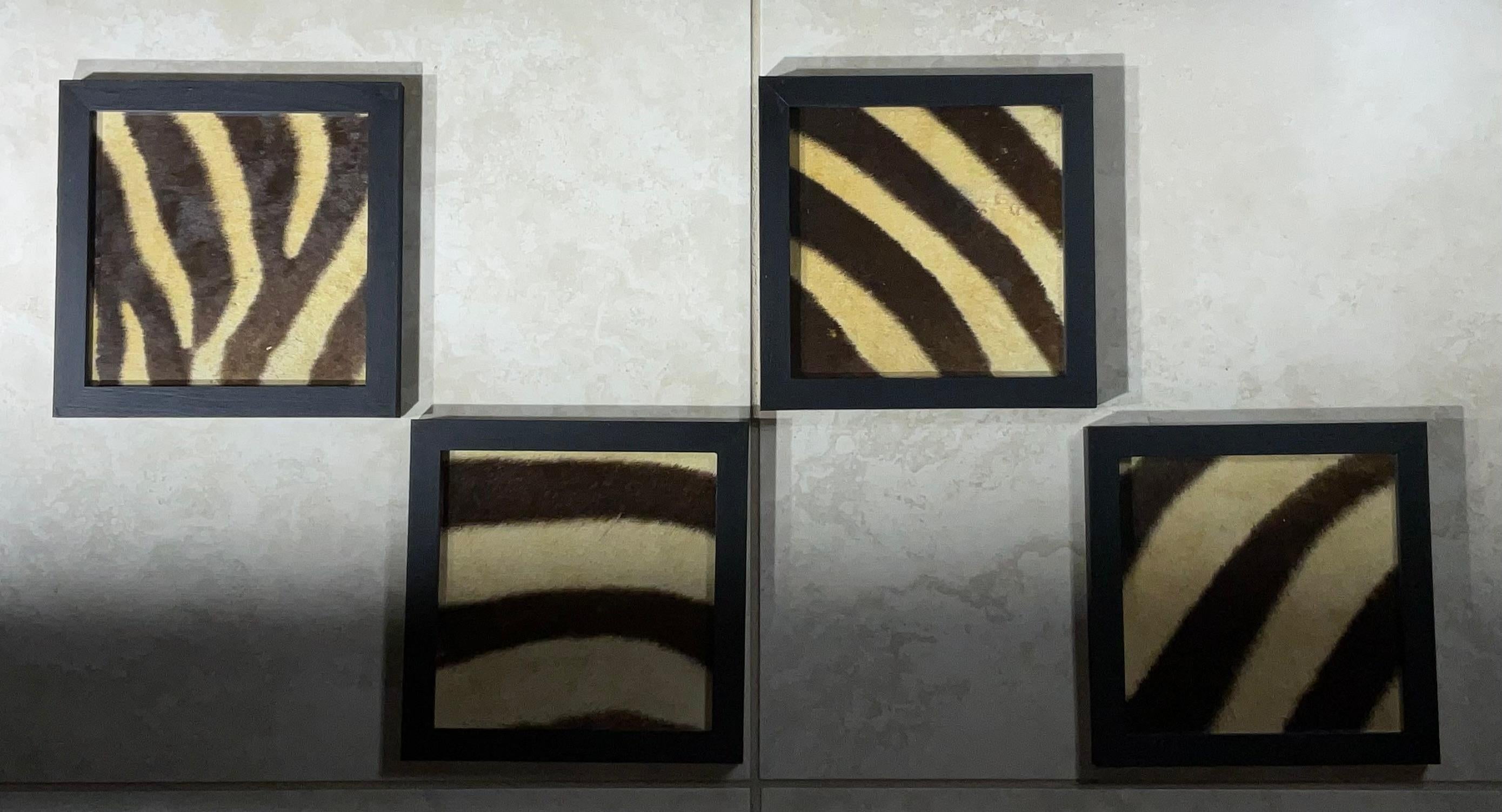 Set di quattro cornici in vera pelle di zebra antica in vendita 2