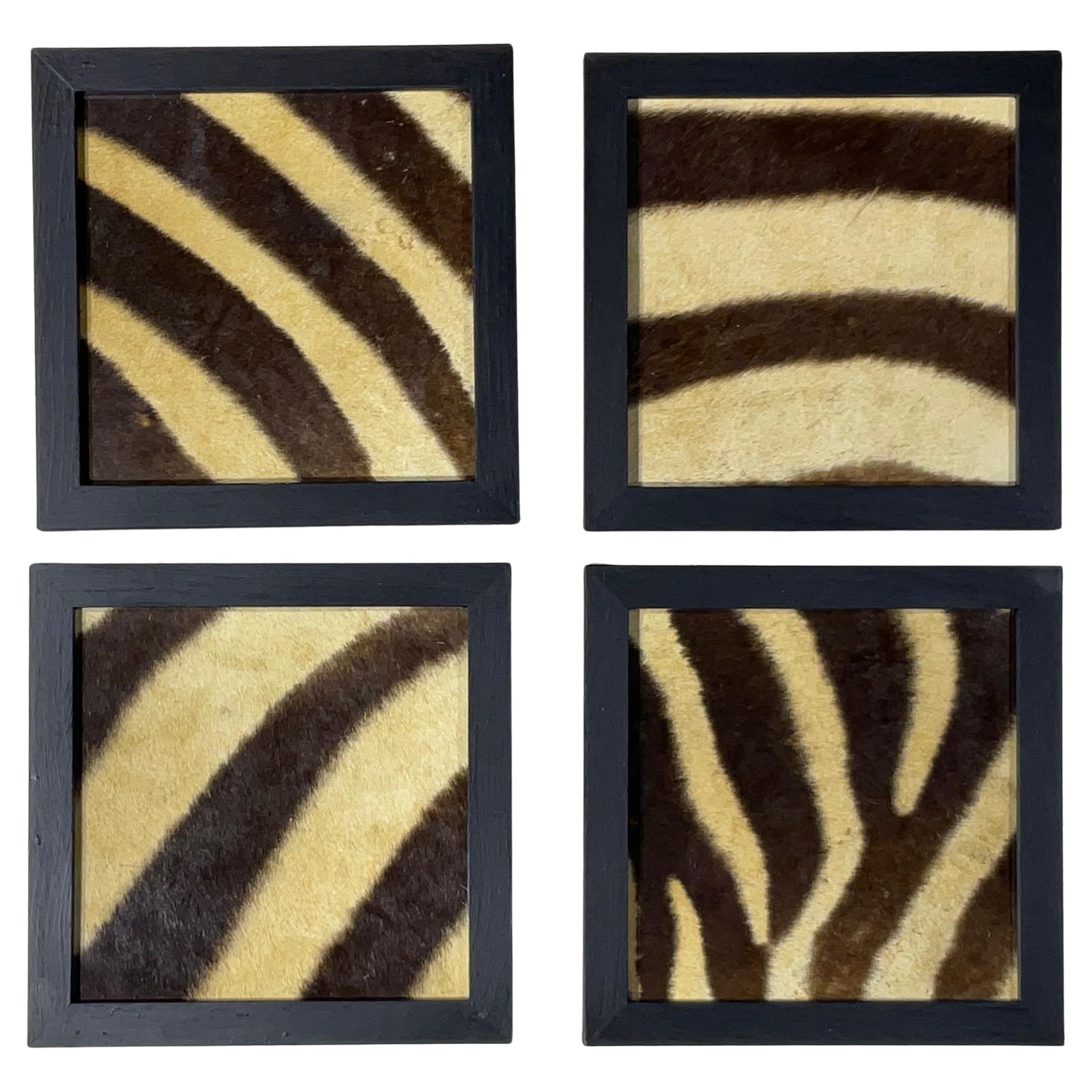 Set Of Four Framed Genuine Antique Zebra Skin