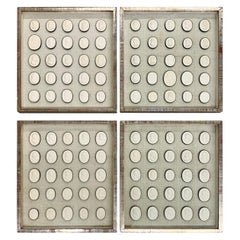 Antique Set of Four Framed Groupings of Plaster Intaglios