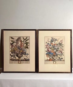 Set of Four Framed Prints, 12 Months of Flowers by Robert Furber (orig. 1730)