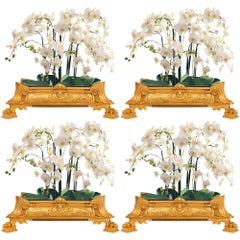 Ensemble de quatre centres de table/plantes en bronze doré de la Renaissance française du XIXe siècle