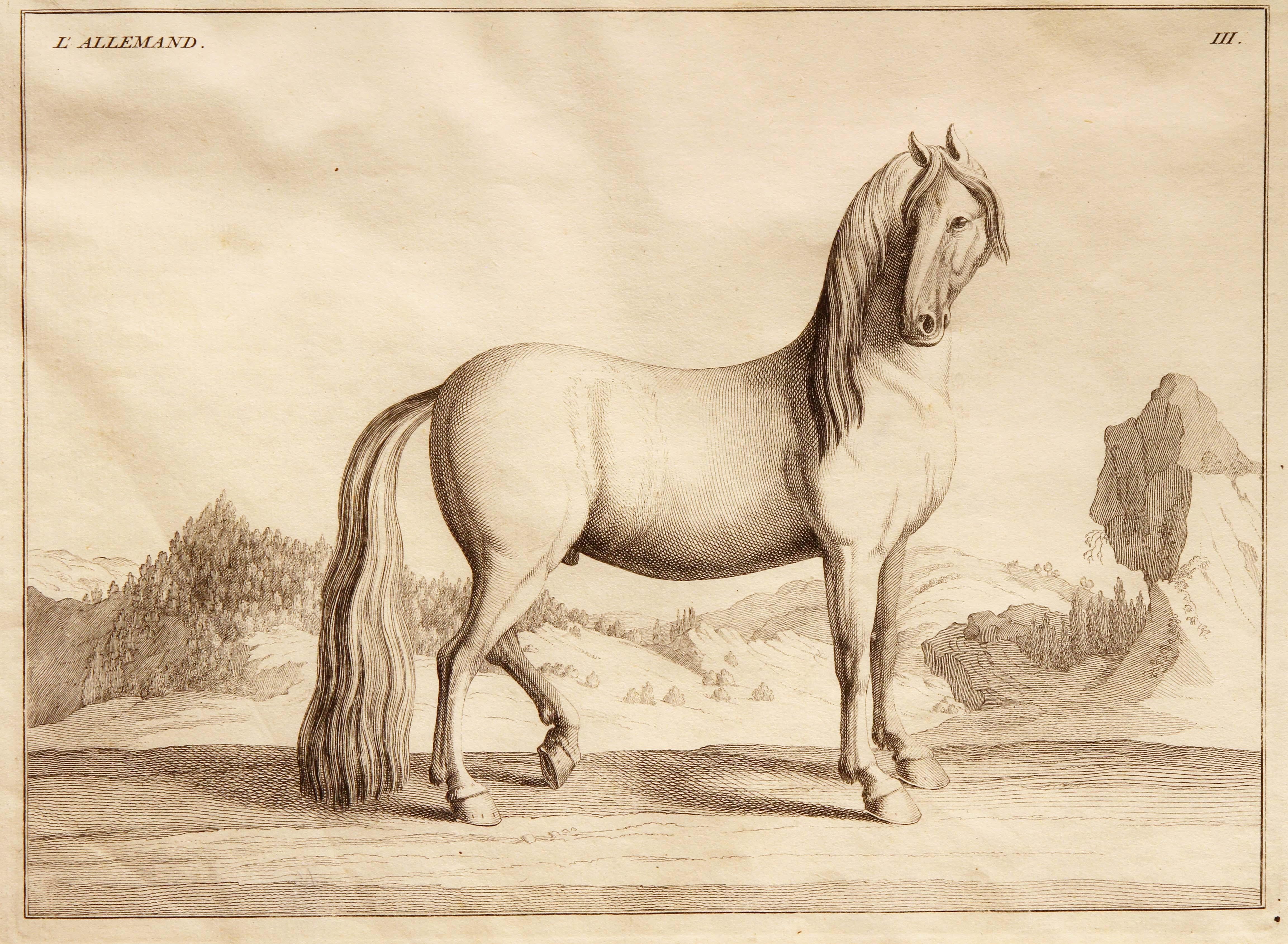 18th Century Set of Four French Engravings of Horses