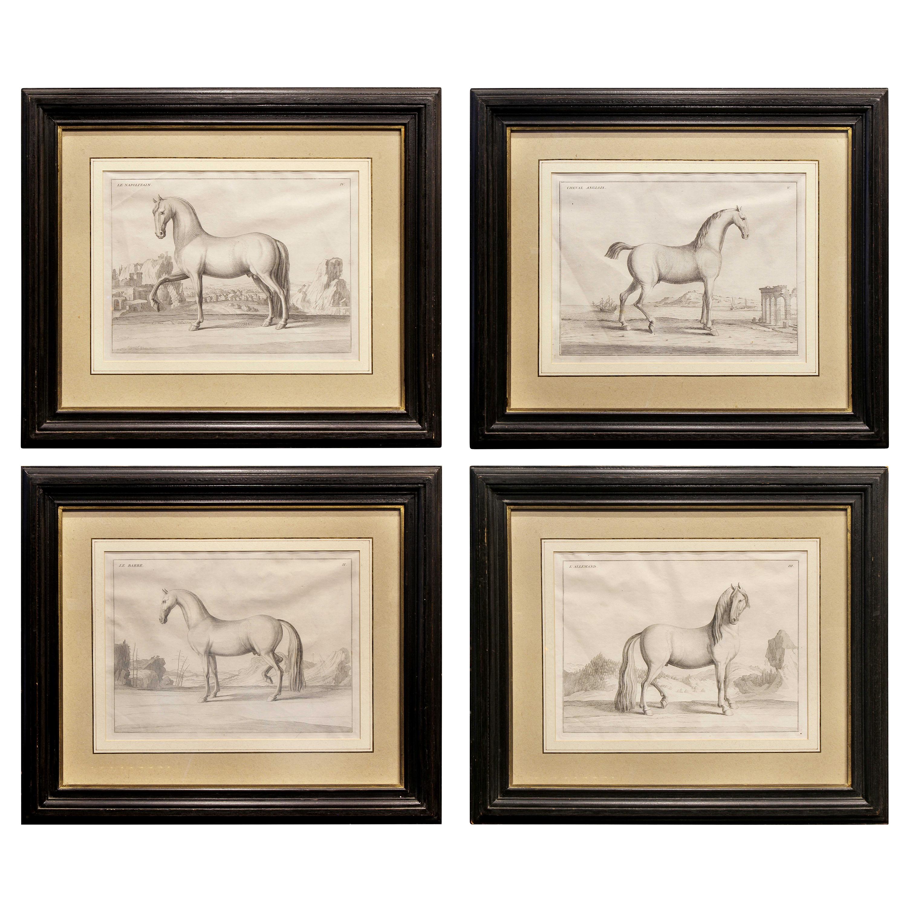 Set of Four French Engravings of Horses