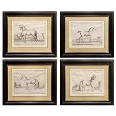 Antique Set of Four French Engravings of Horses