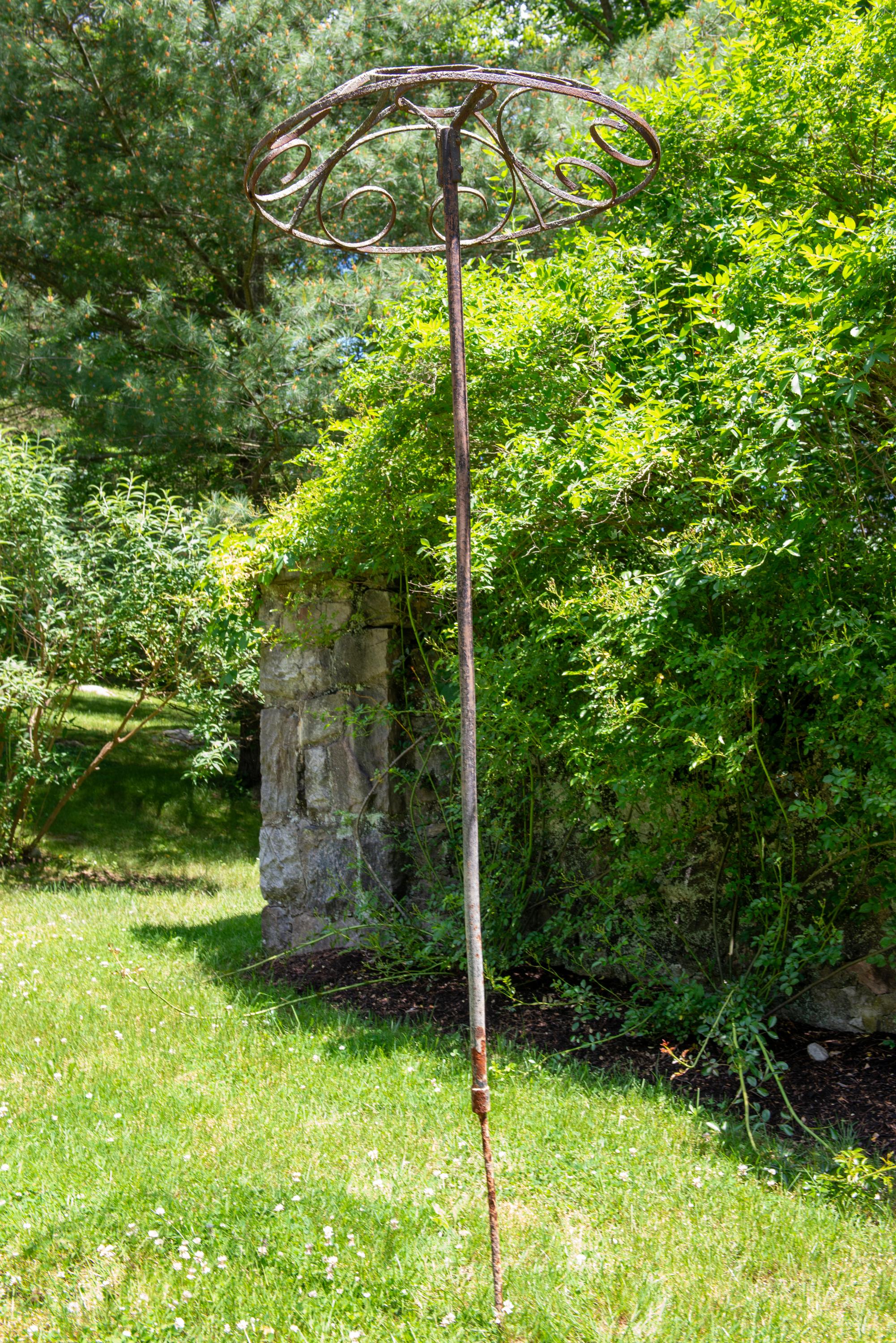 Set of four wrought iron French garden rose trees with decorative umbrella like tops. A special way to grow your climbing roses. Two trees are 87