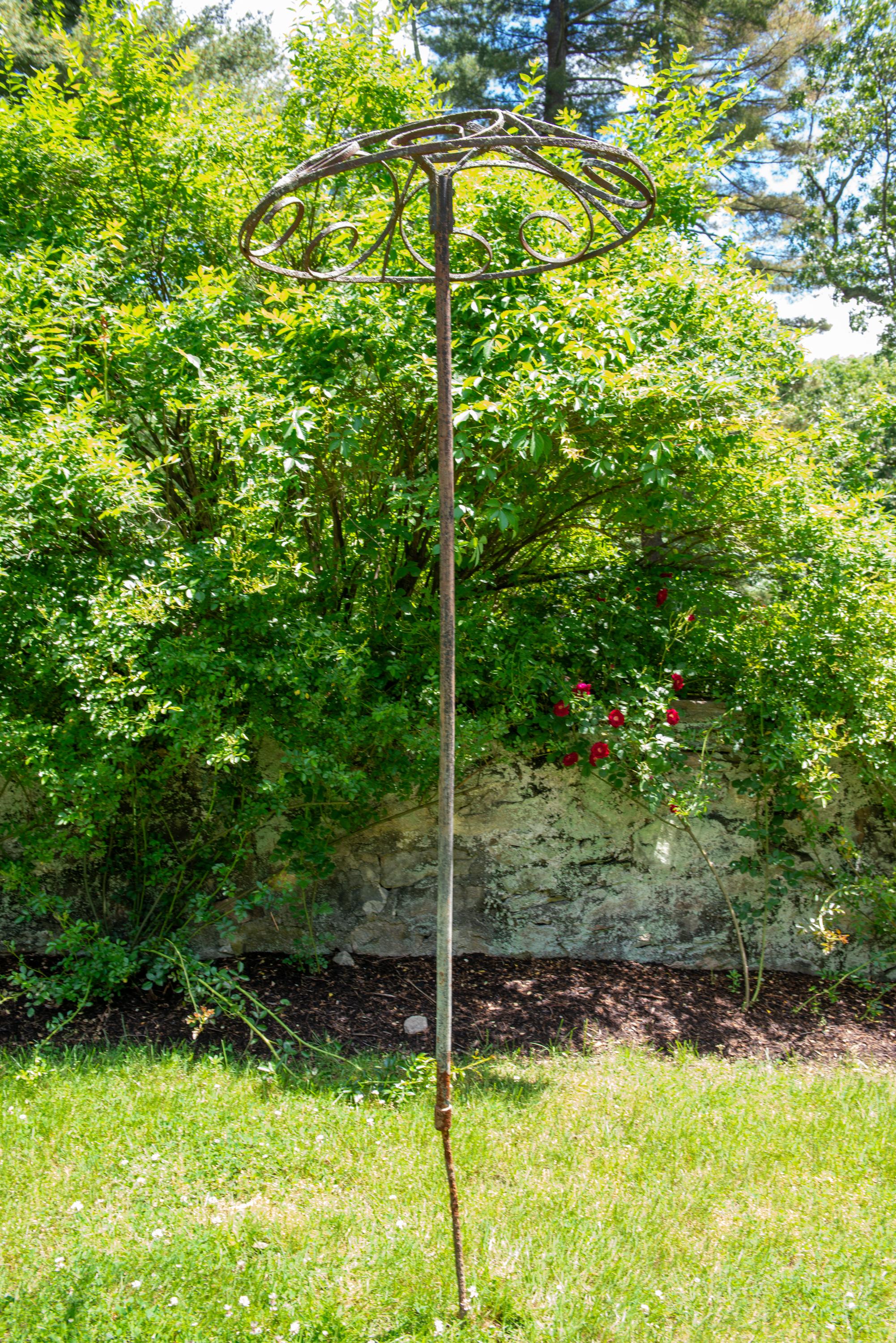 Set of Four French garden Rose Trees For Sale 1