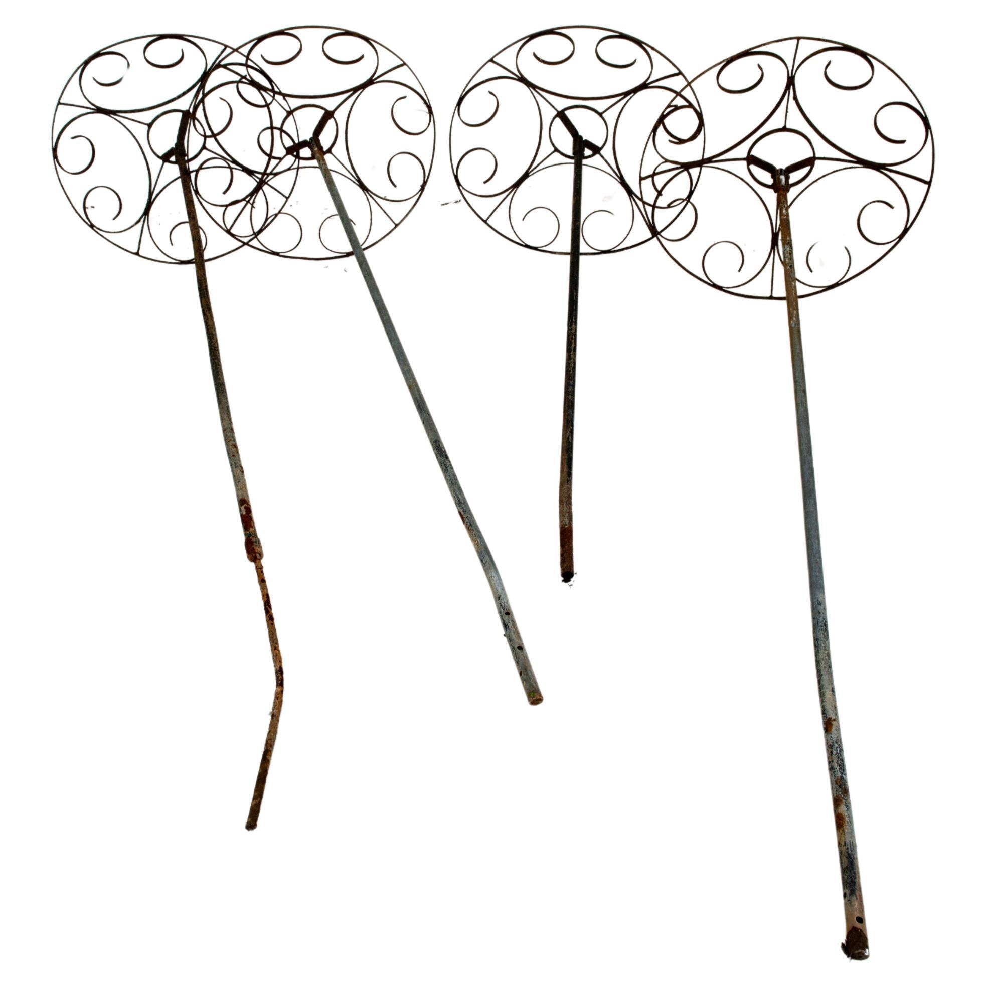 Ensemble de quatre arbres roses de jardin français