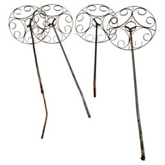 Ensemble de quatre arbres roses de jardin français