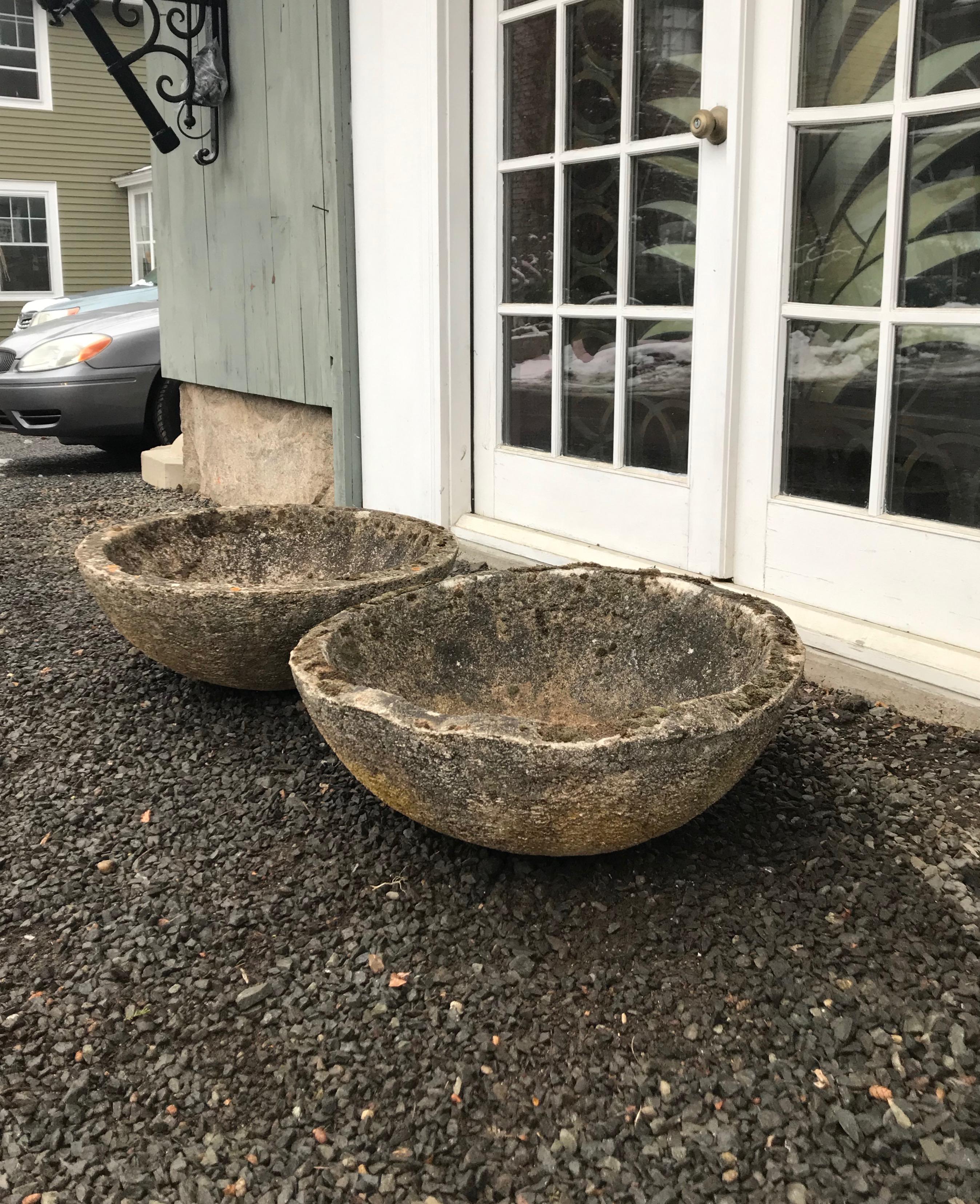 Set of Four French Mossy and Weathered Midcentury Cast Stone Bowl Planters 4