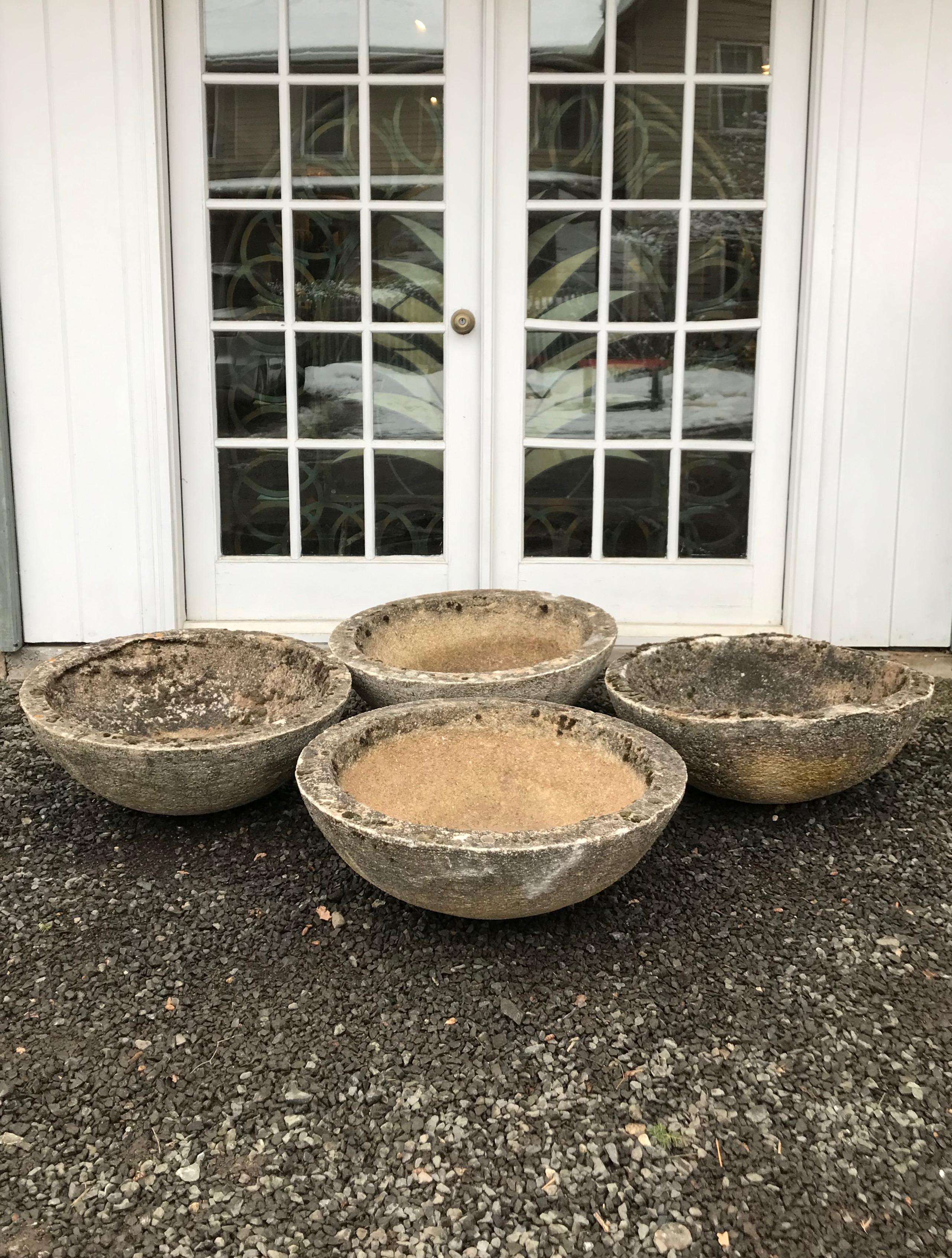 These bowl planters are of a good size and have deep planting wells and an excellent patina. We love how they blend into the landscape and their size and shape makes them quite versatile. One of the four has multiple losses to the rim, but if potted