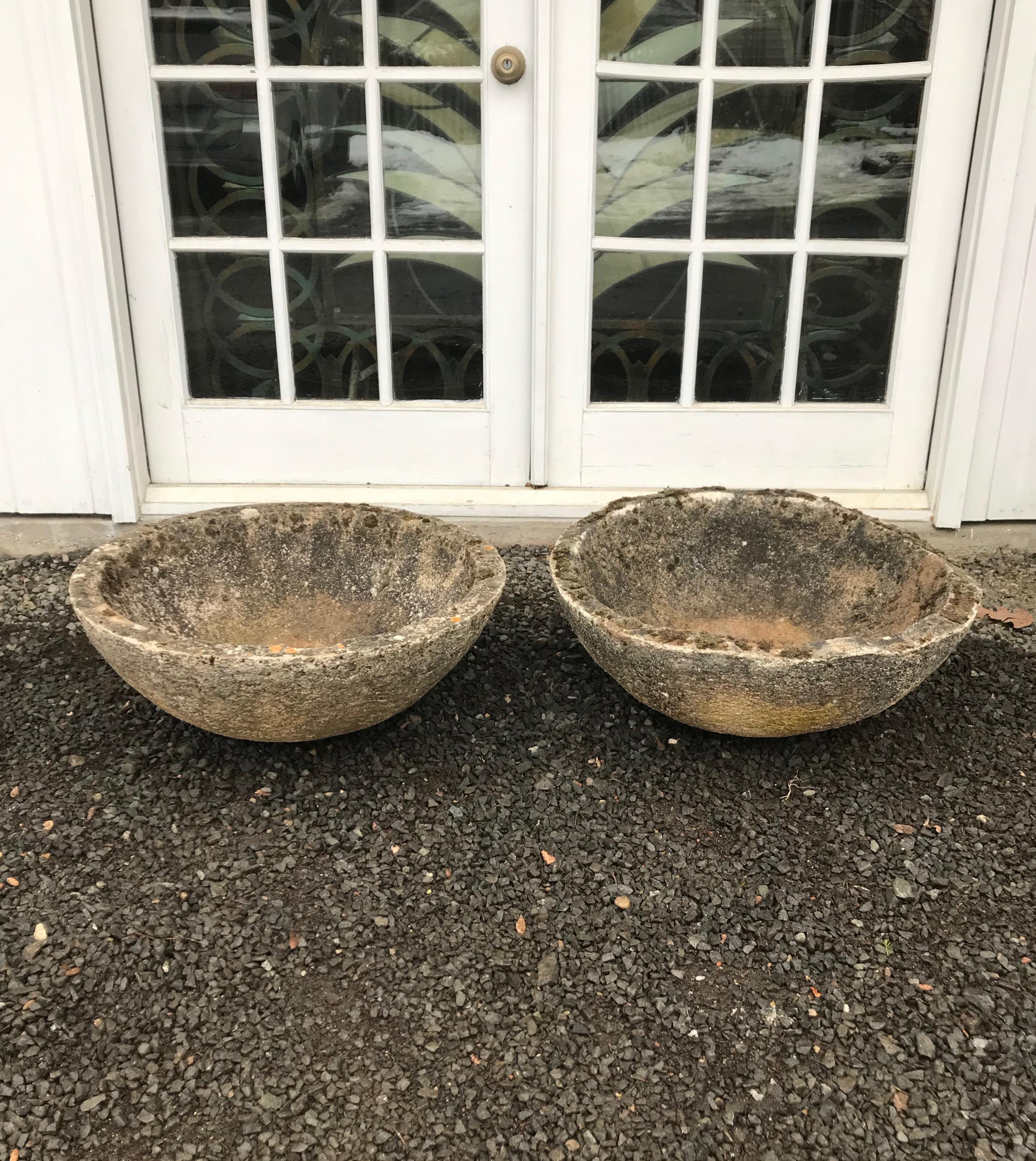 Set of Four French Mossy and Weathered Midcentury Cast Stone Bowl Planters 2