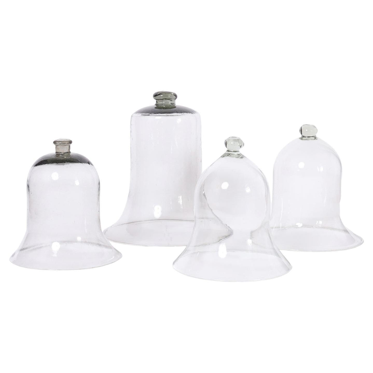 Set of Four Glass Garden Cloches Inbox, Priced Individually For Sale