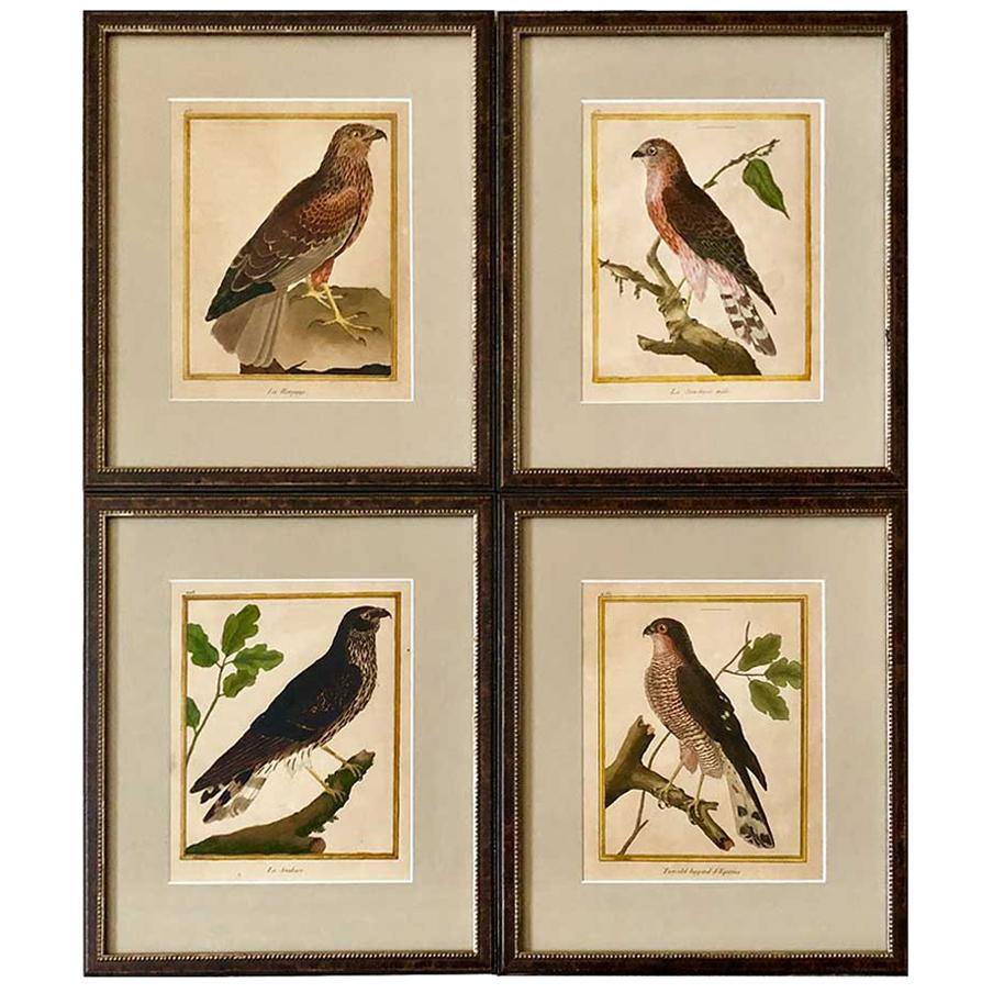 Set of Four Hand-Colored Copper Plate Engravings from 1786