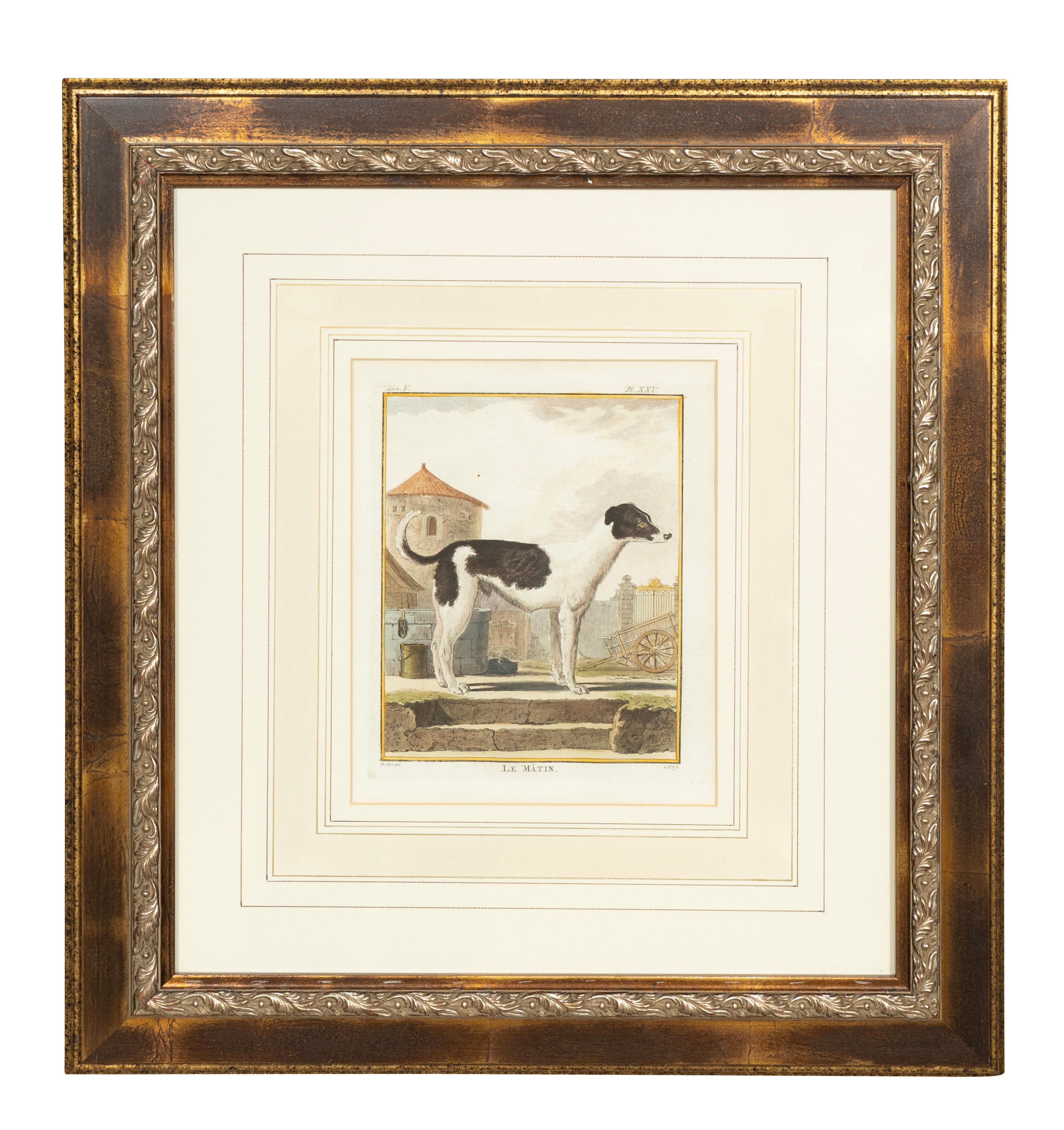 Nicely framed featuring four different dog types.