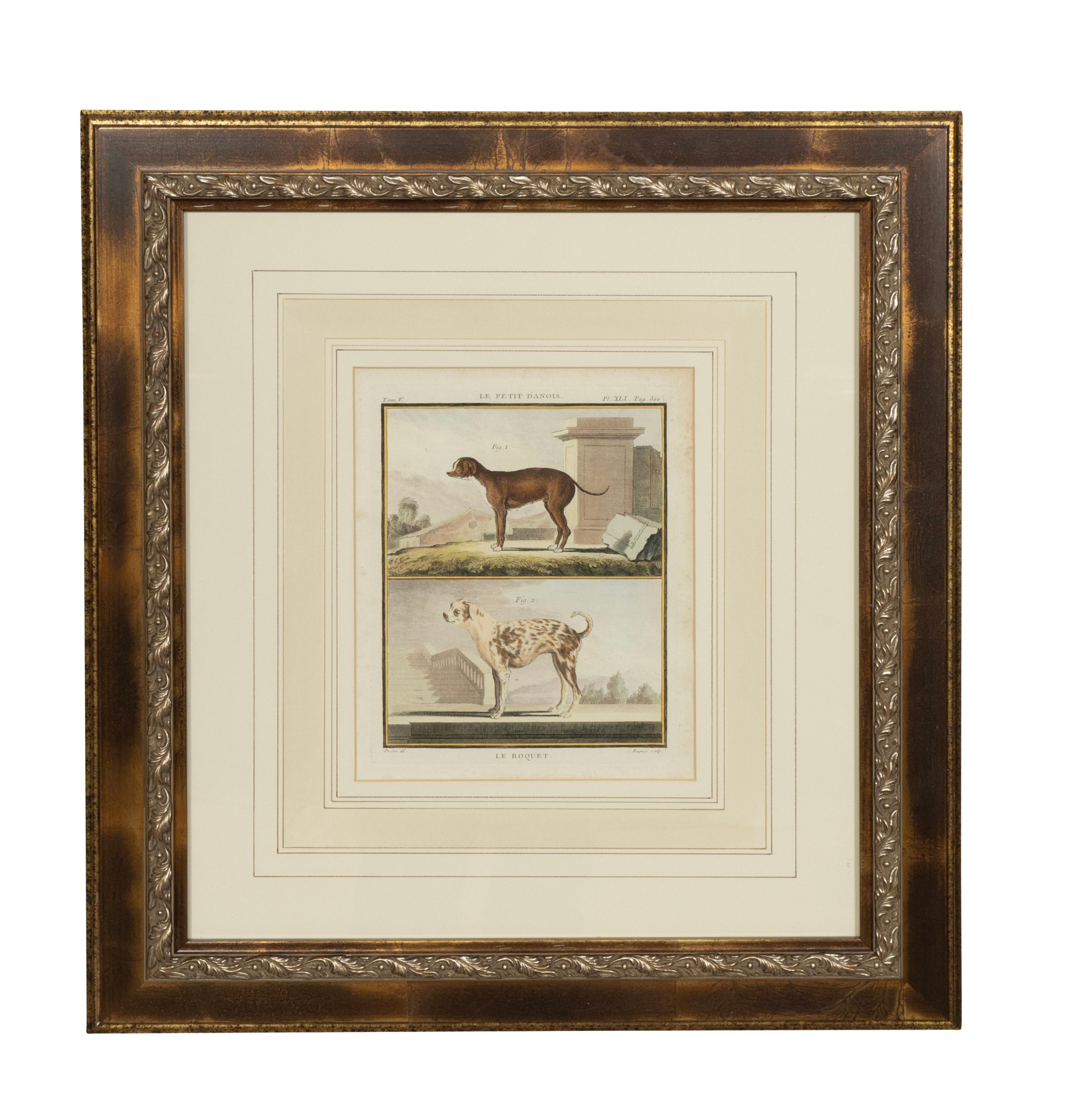 French Set Of Four Hand Colored Engravings Of Dogs For Sale