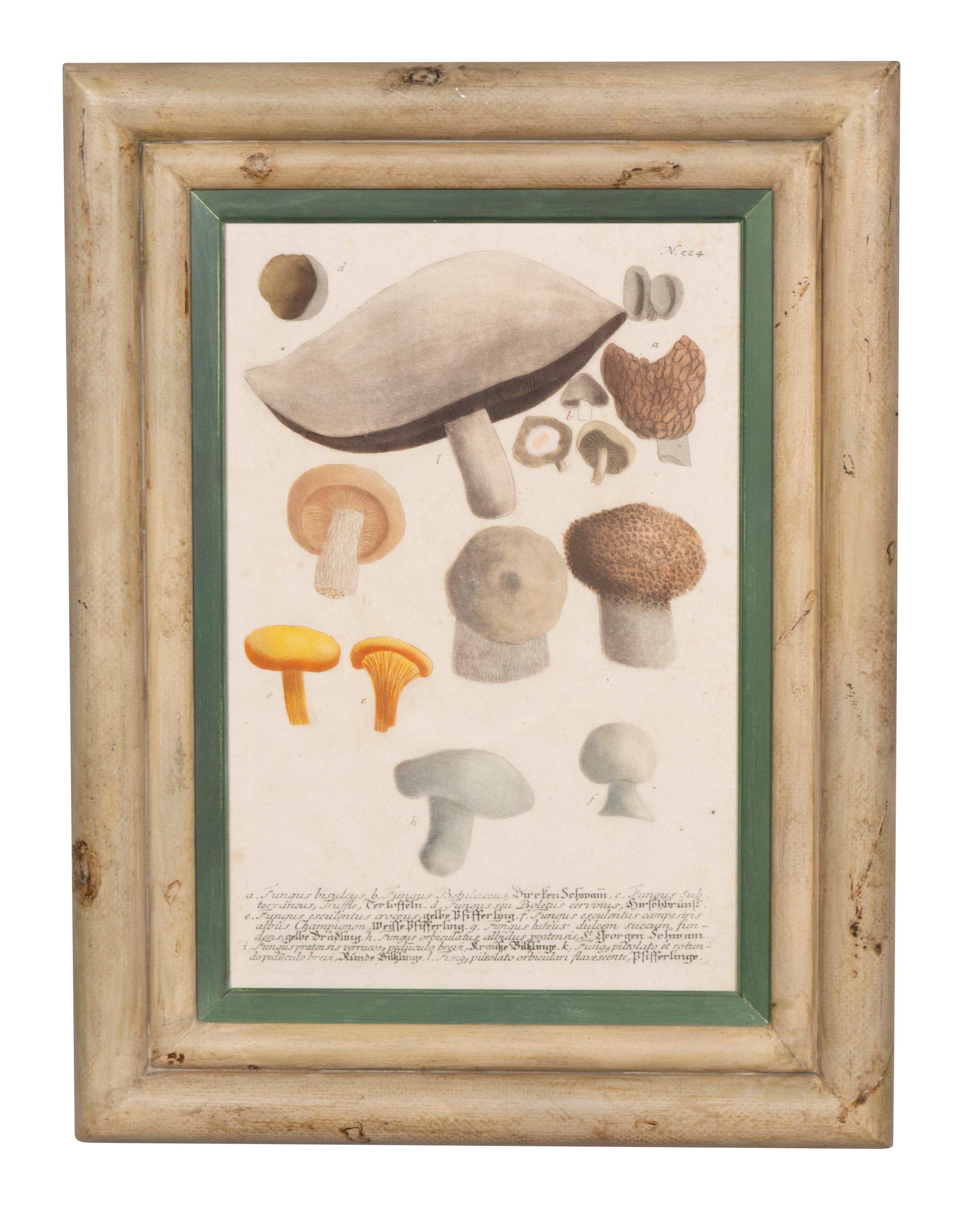 European Set Of Four Hand Colored Engravings Of Mushrooms For Sale
