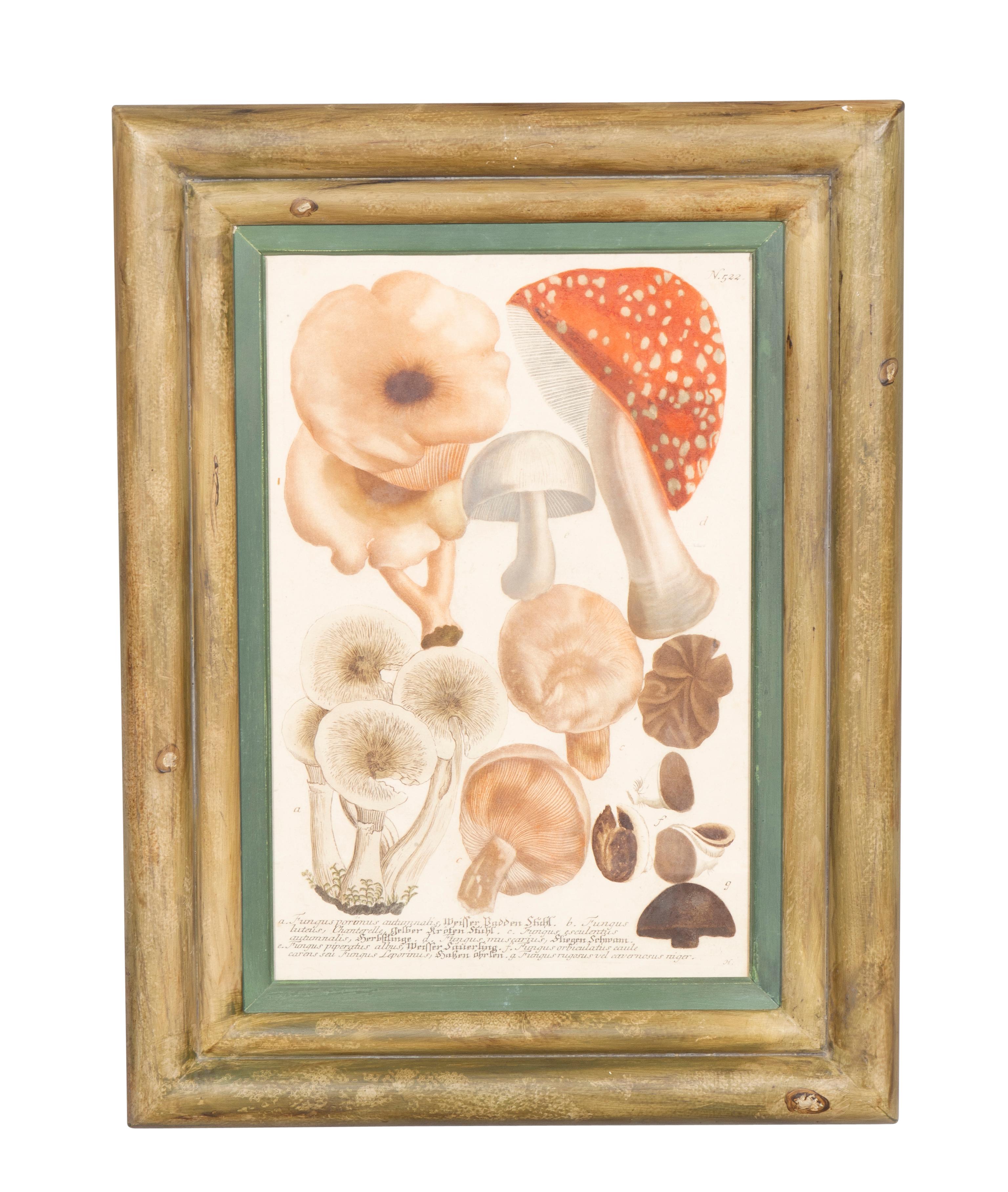 Ensemble de quatre gravures de champignons colorées à la main Bon état - En vente à Essex, MA