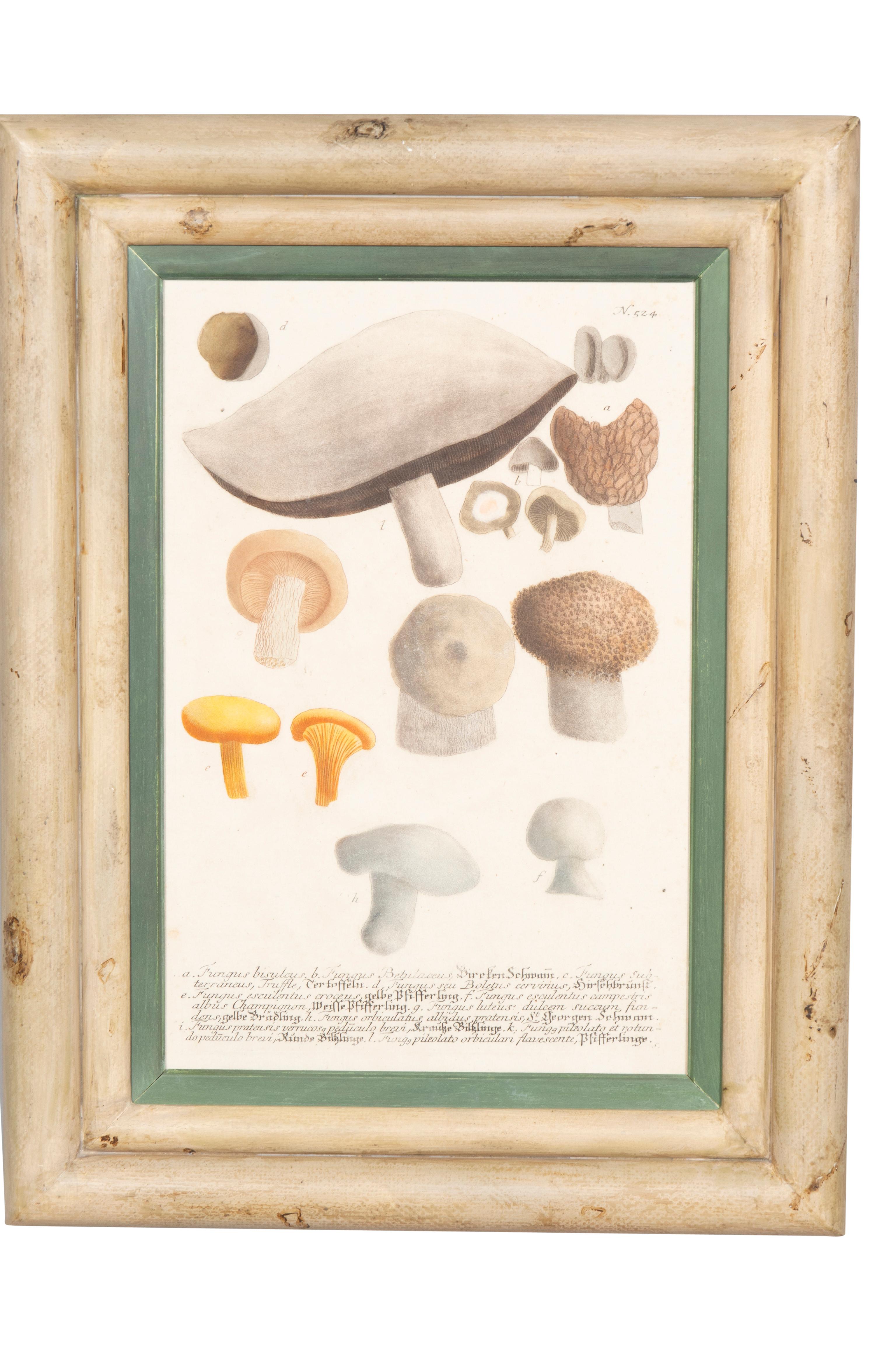 Ensemble de quatre gravures de champignons colorées à la main en vente 3
