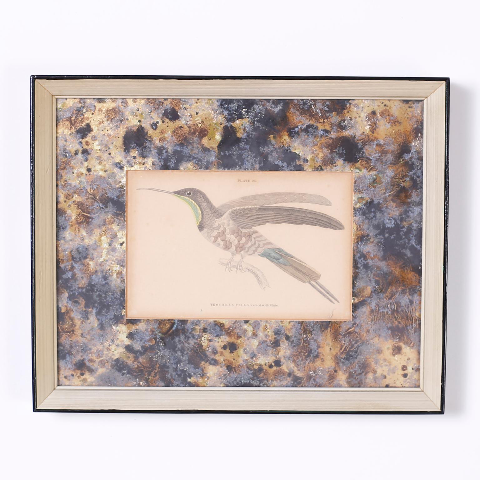 Anglais Ensemble de quatre estampes d'oiseaux en forme d'oiseaux sourds colorées à la main en vente