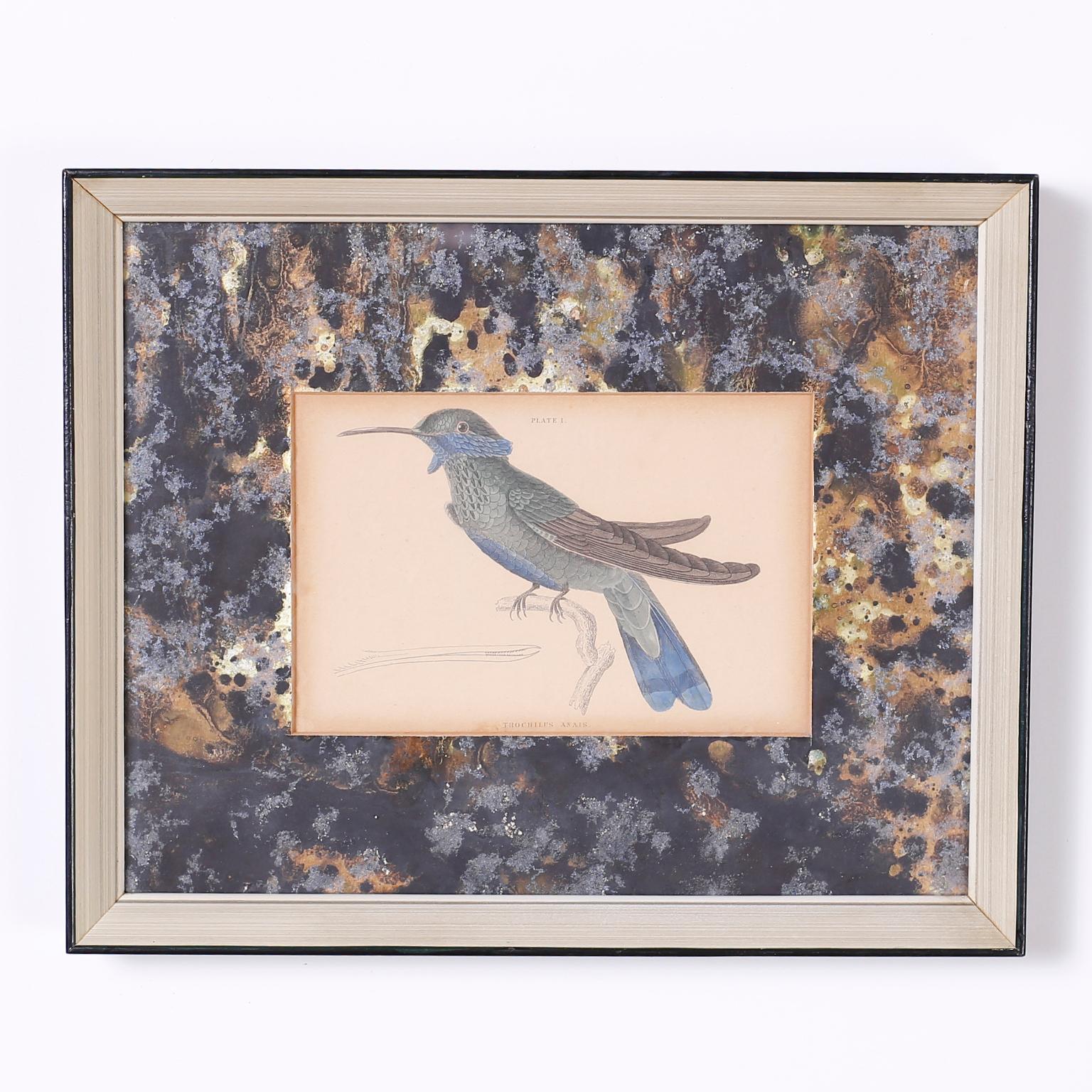 Conjunto de cuatro colibríes coloreados a mano en Bueno estado para la venta en Palm Beach, FL
