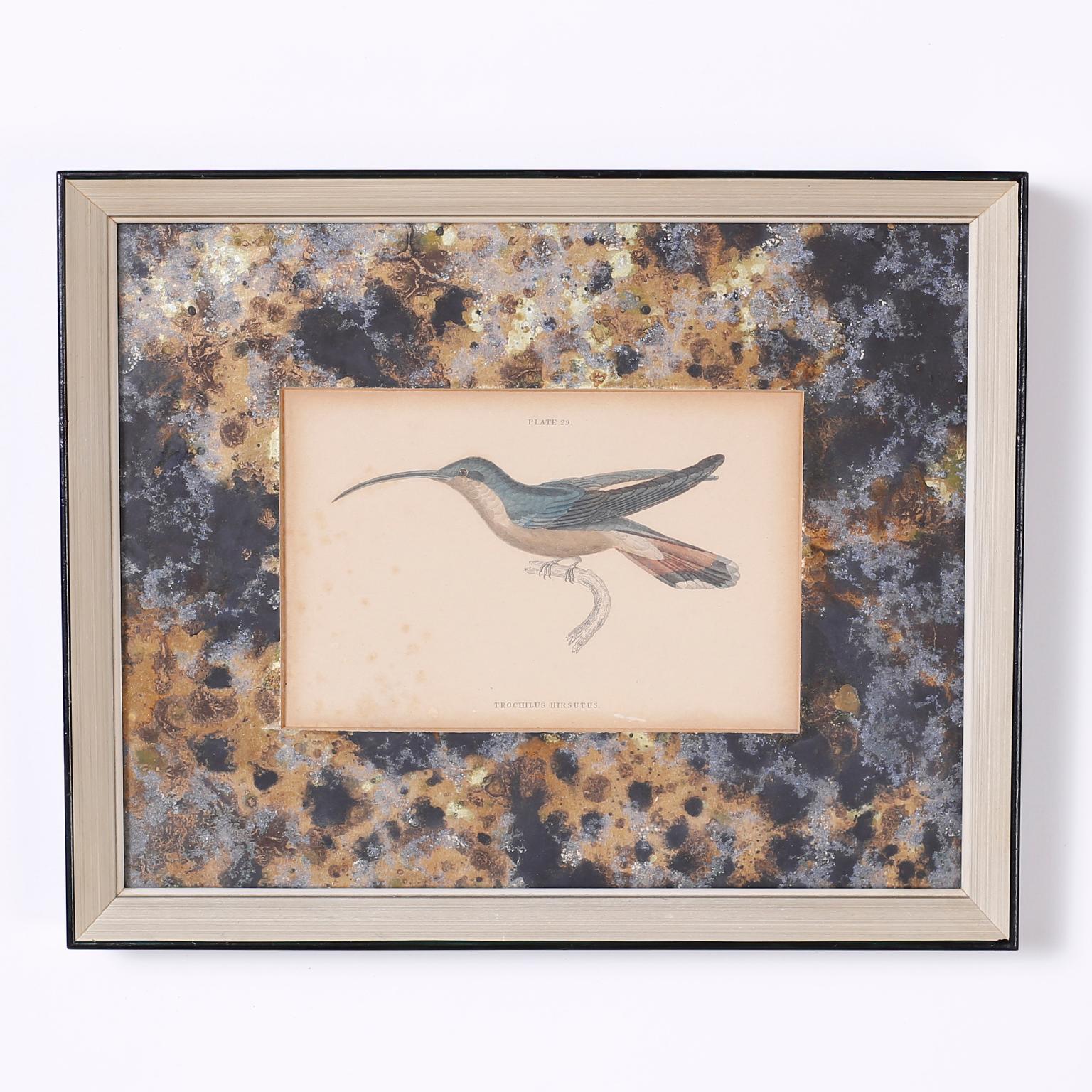 Set of Four Hand Colored Humming Bird Prints For Sale 1