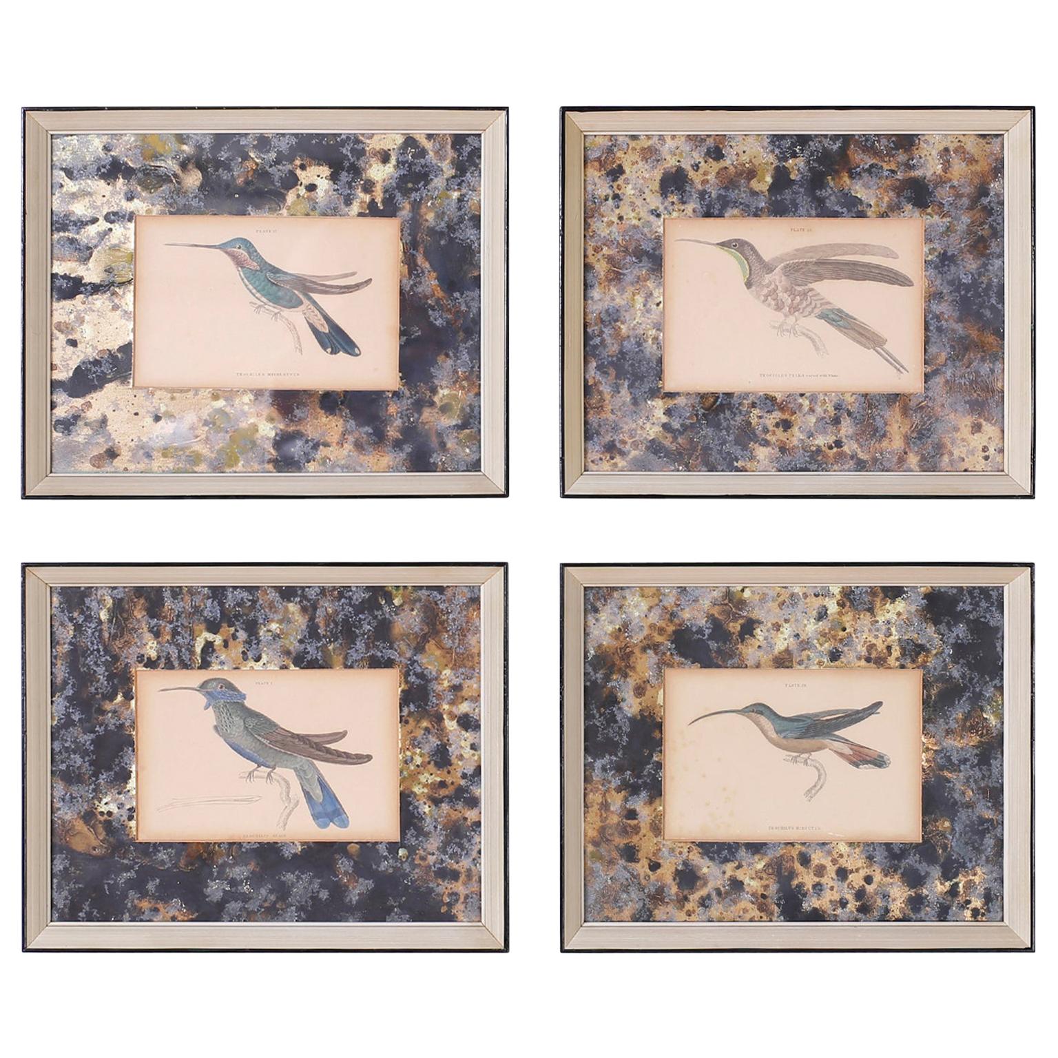 Ensemble de quatre estampes d'oiseaux en forme d'oiseaux sourds colorées à la main en vente