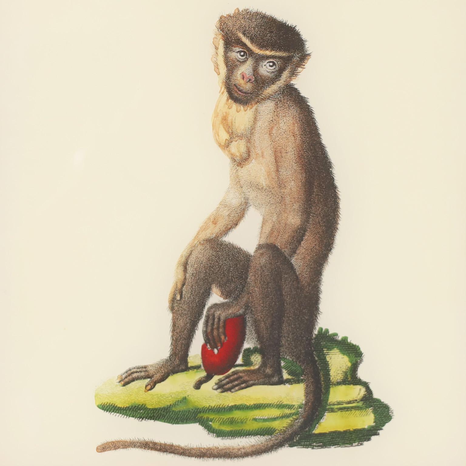 Set of Four Hand Colored Monkey Prints For Sale 3