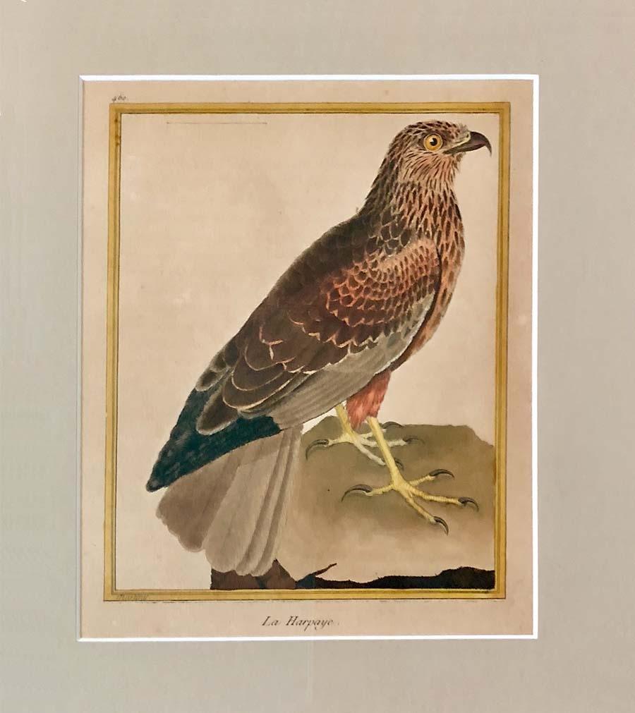 French Set of Four Hand-Colored Copper Plate Engravings from 1786