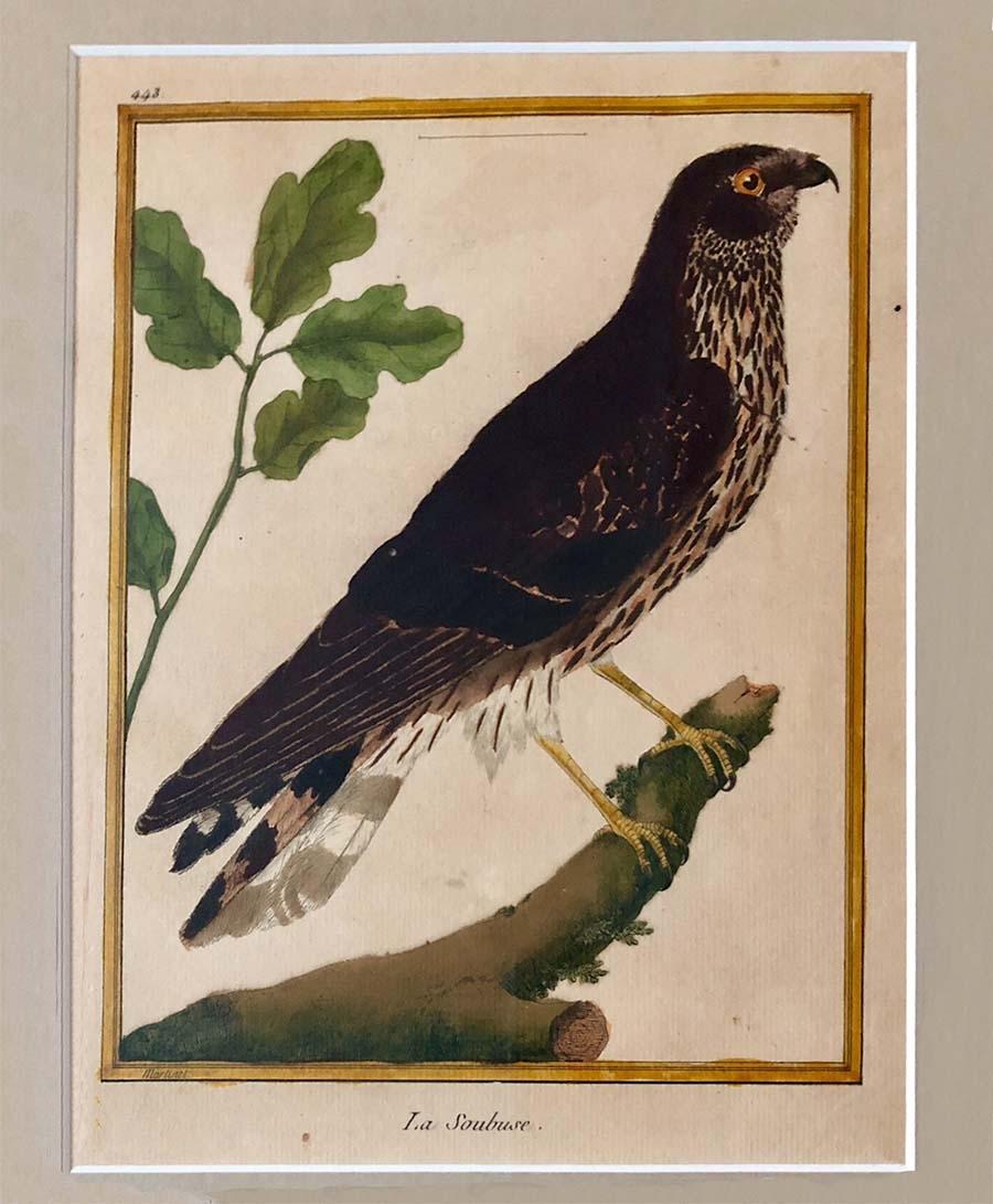Late 18th Century Set of Four Hand-Colored Copper Plate Engravings from 1786